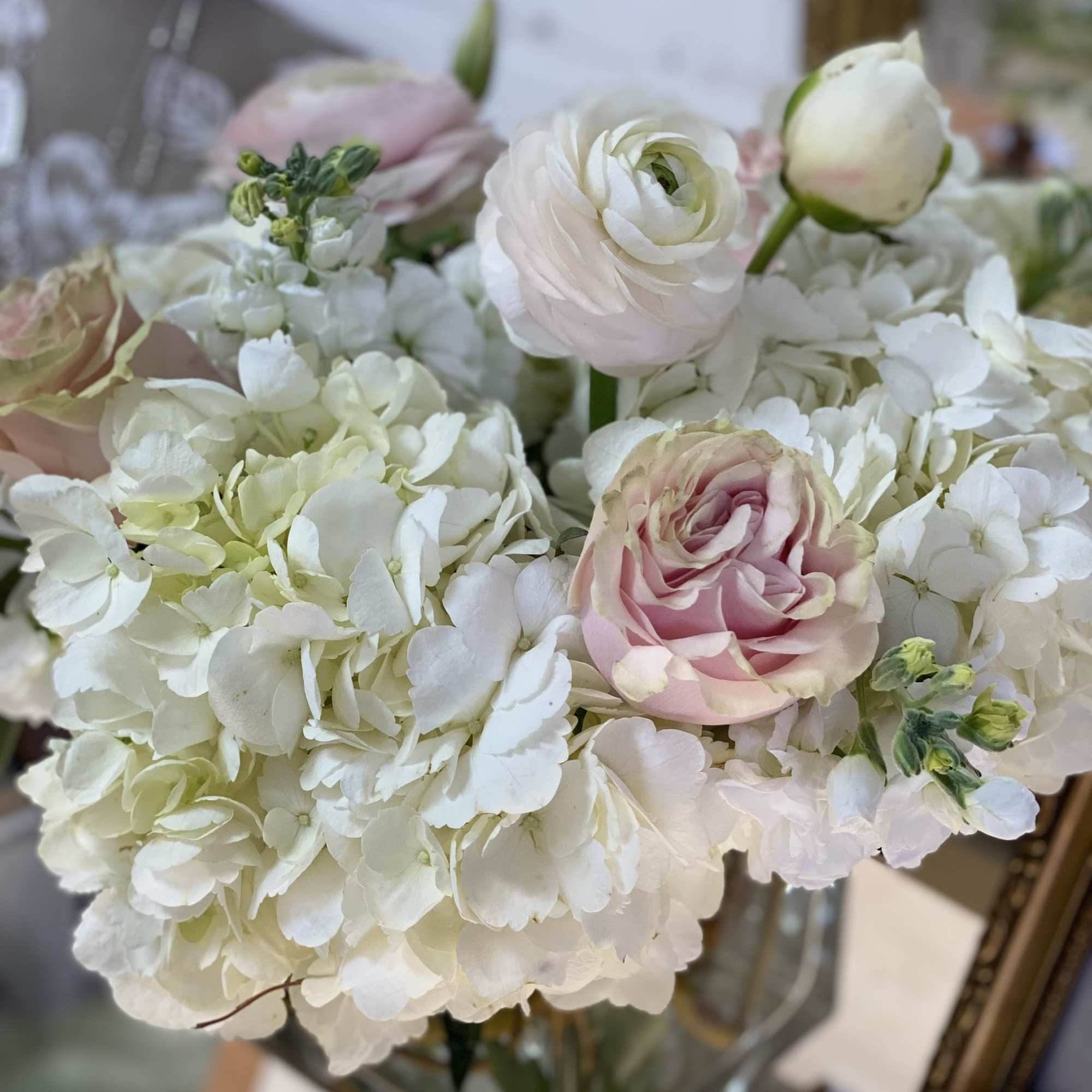Gorgeous light &amp; Delicate flowers in an elegant glass cube