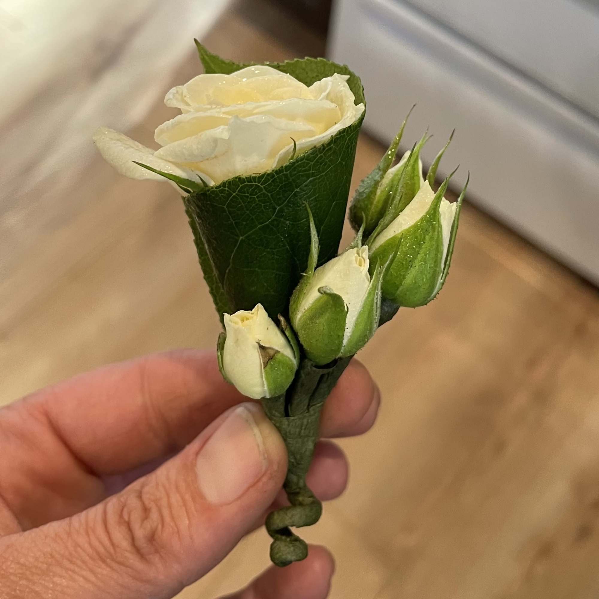 White rose boutonniere with three buds held in hand