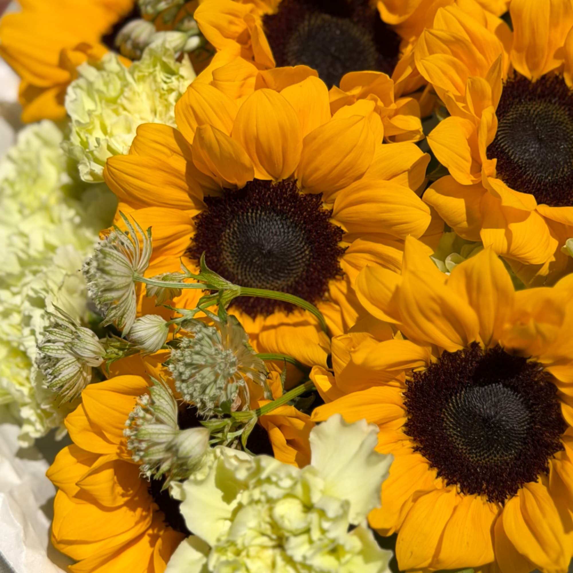 Bouquet of orange sunflowers with pale green-white flowers