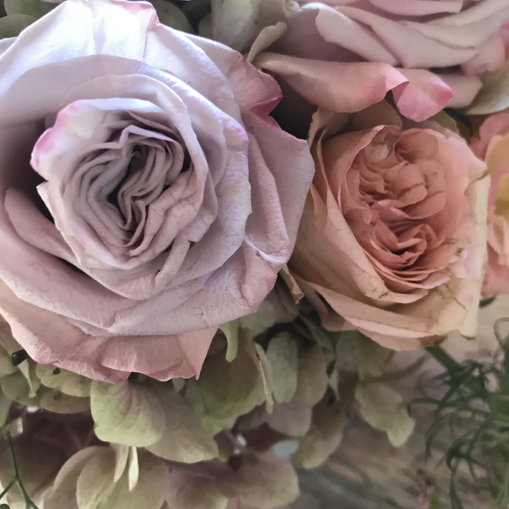 Perfect palette of nude and blushing fresh flowers arranged in a classic, photo 3 of 4