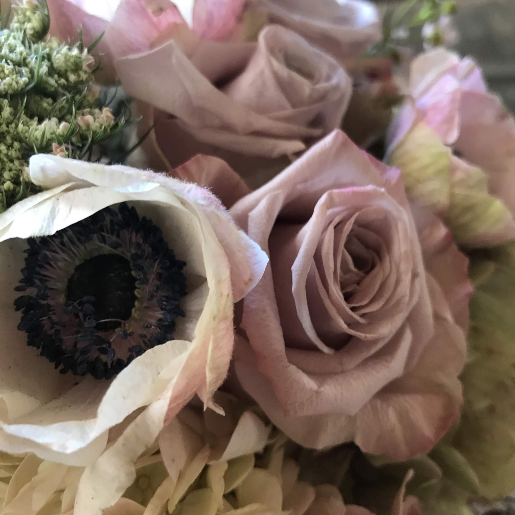 Perfect palette of nude and blushing fresh flowers arranged in a classic, photo 4 of 4