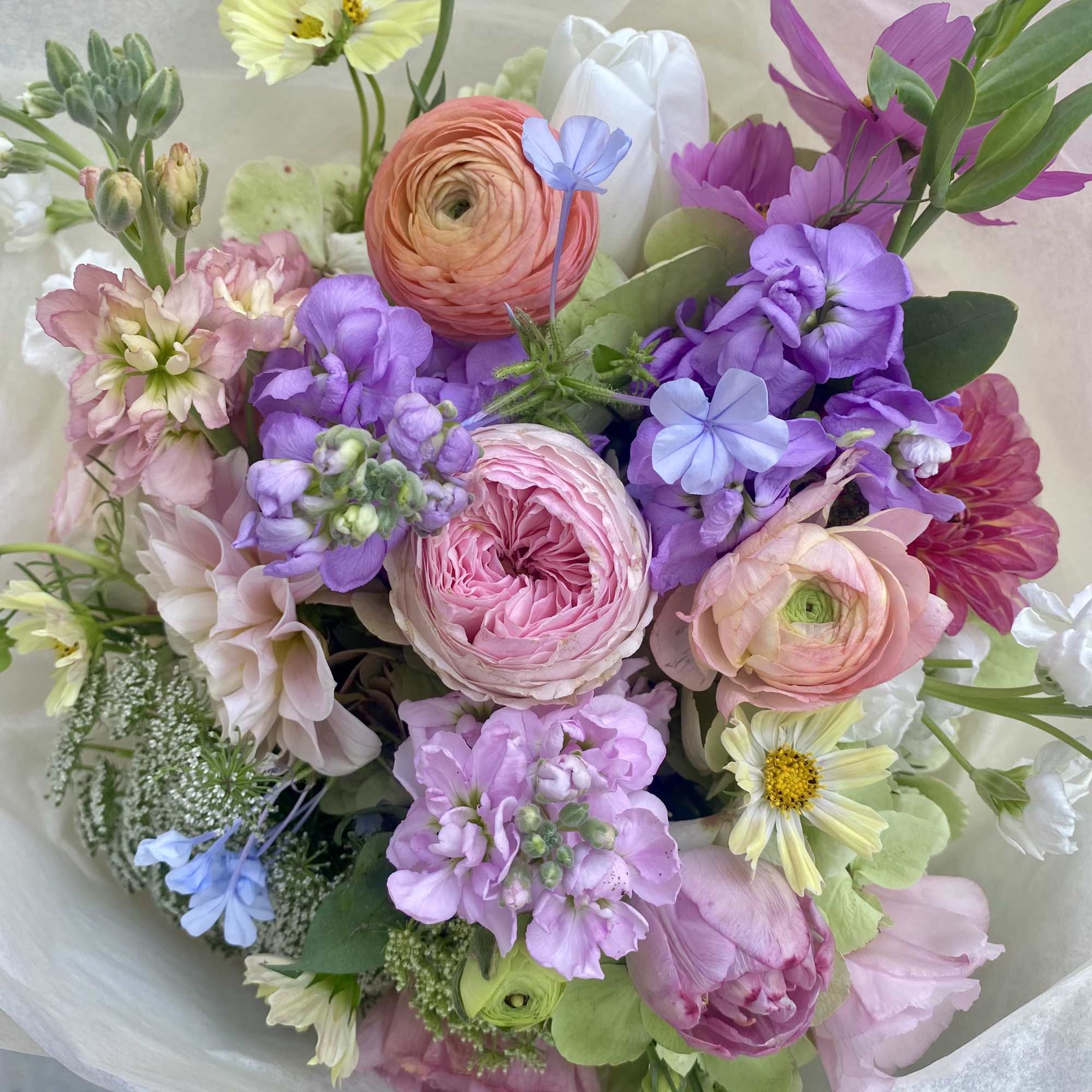 Pastel bouquet with pink ranunculus, roses, tulips, daisies, and purple stock wrapped in white tissue paper