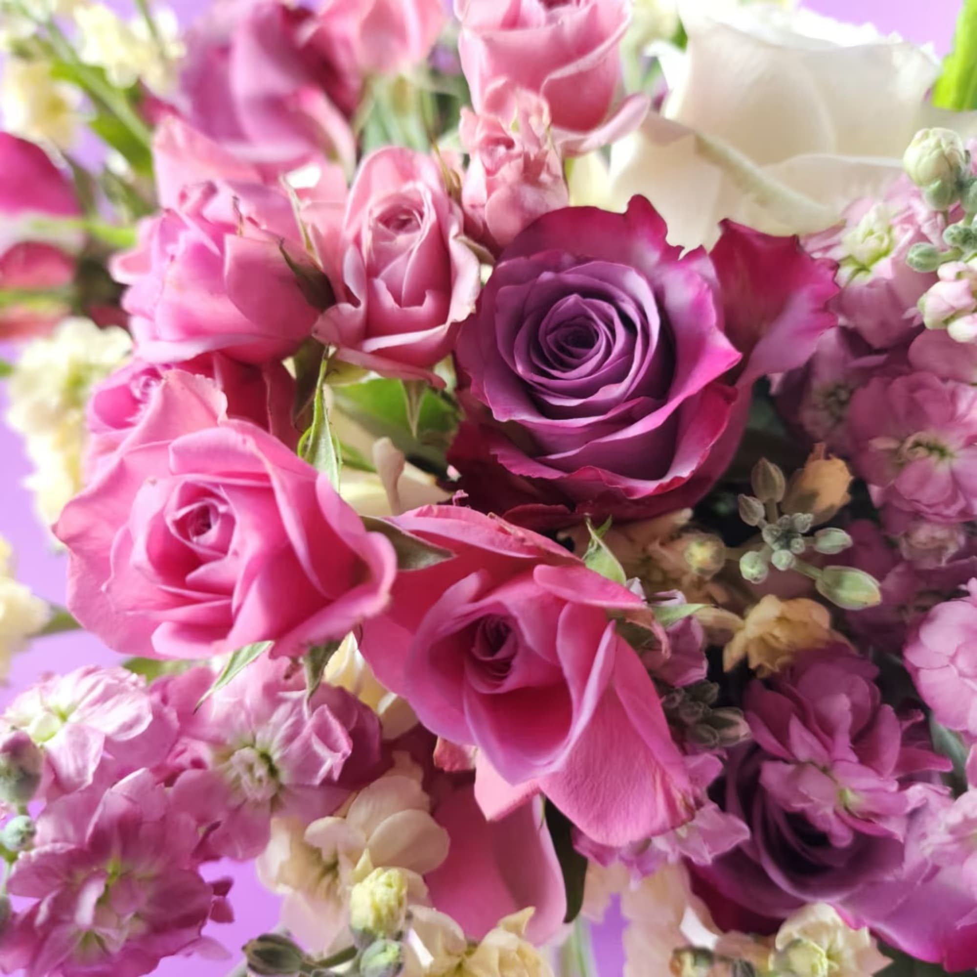 Pink and purple rose bouquet with white accent flowers