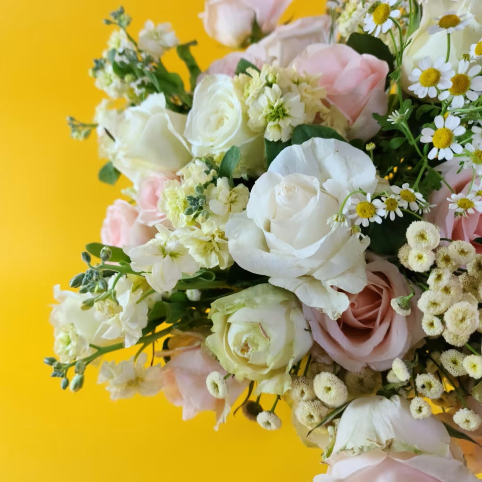 Bouquet of white and blush roses with small daisy-like flowers