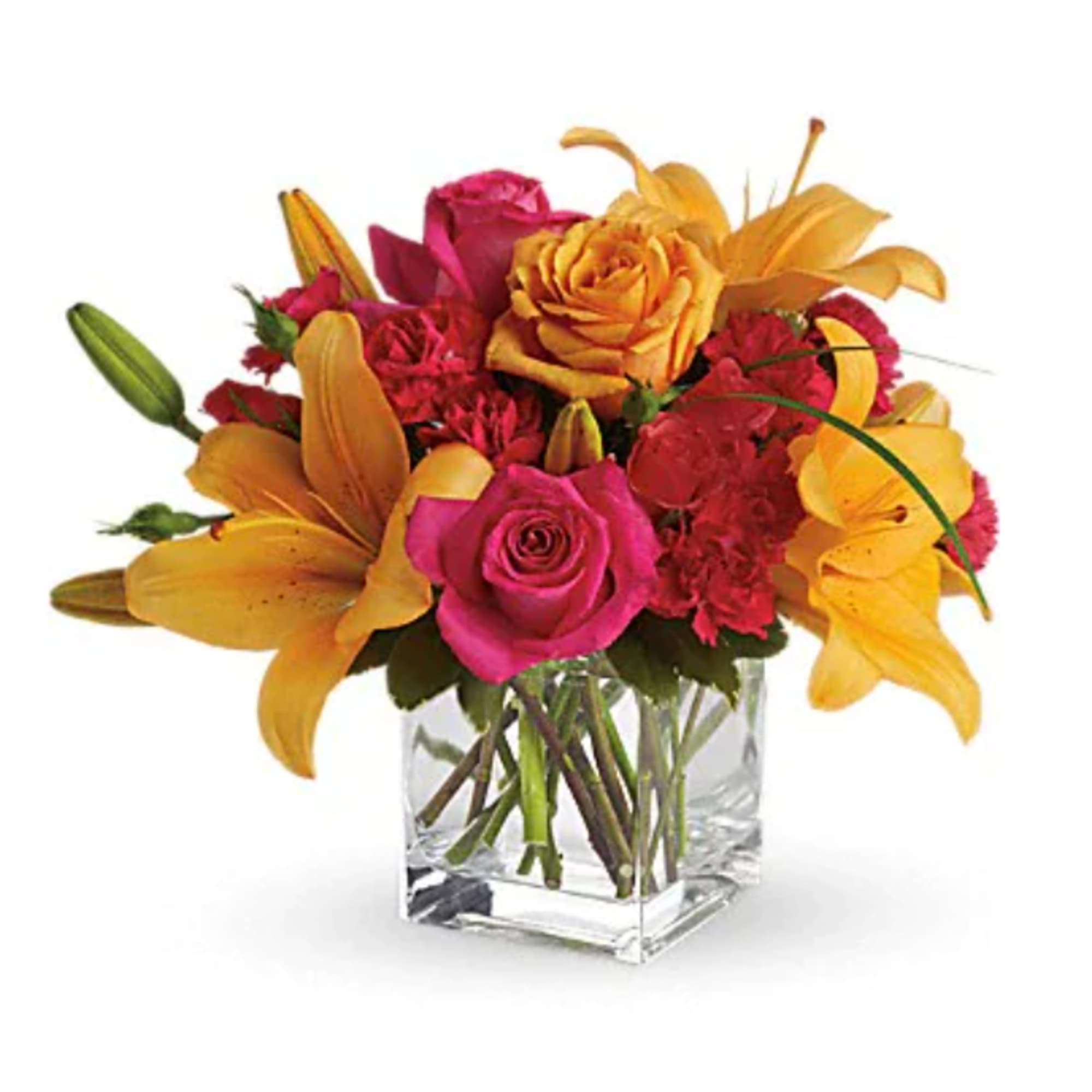 Uniquely beautiful and uniquely bright, this is a bona fide bombshell of