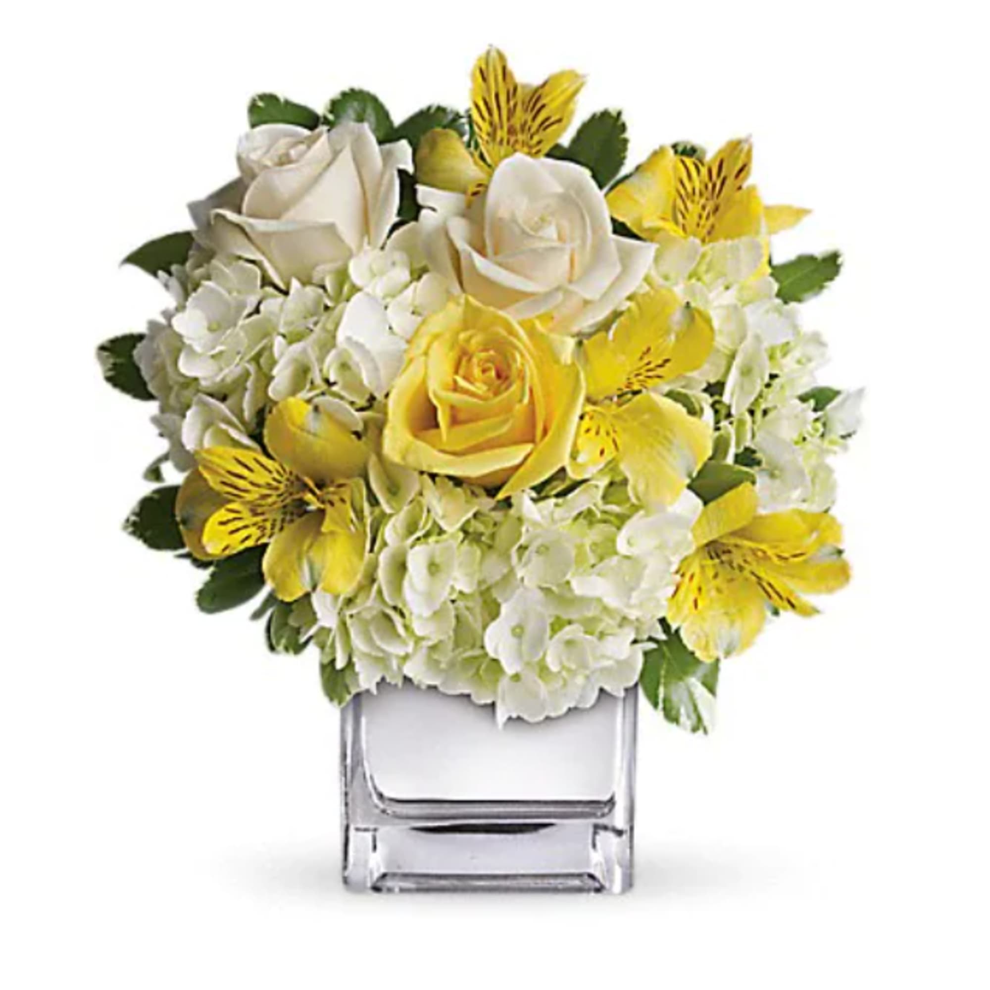 Fresh as an April morning, this cheerful array of yellow roses, cr&egrave;me