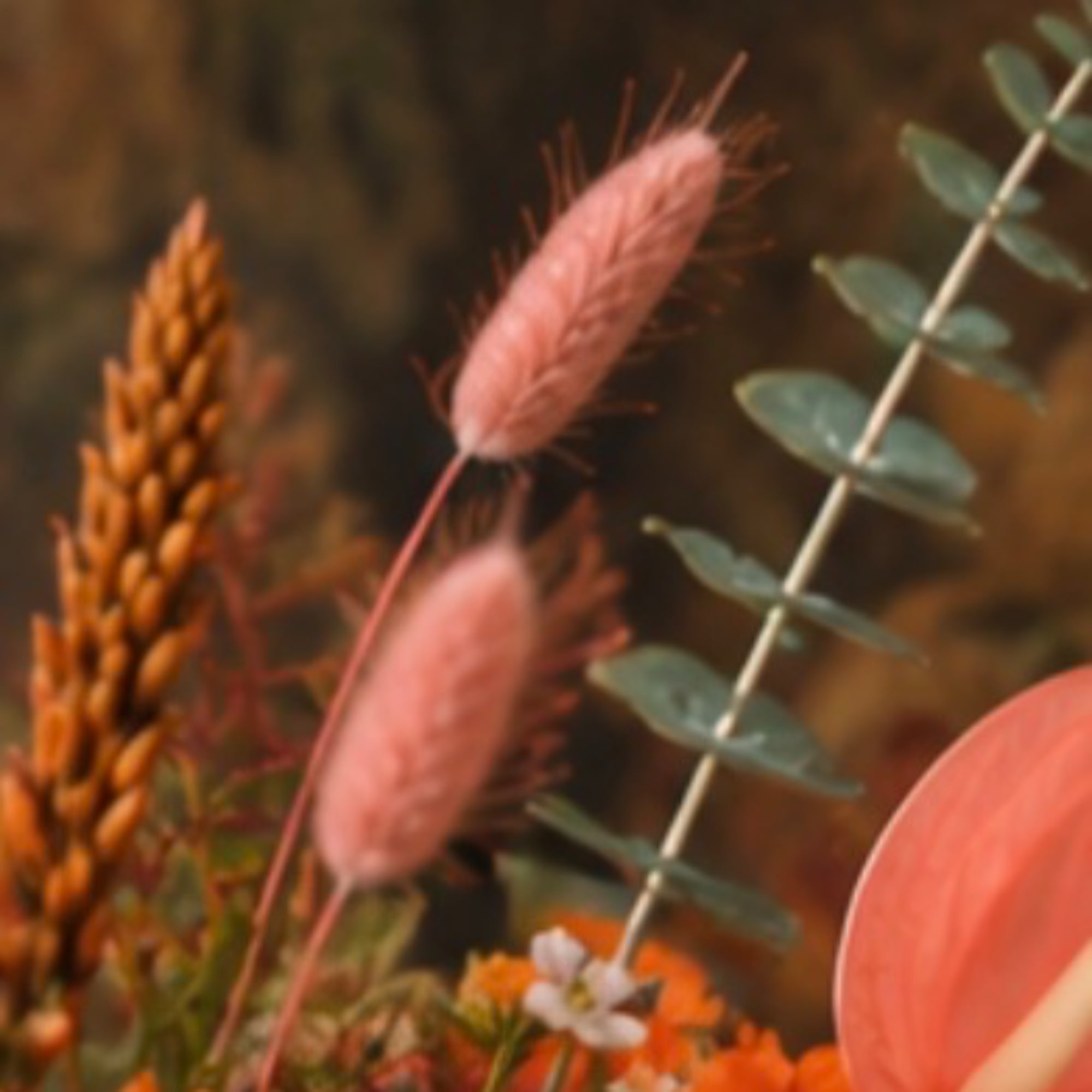 Autumn arrangement with pink dried grasses and orange blooms