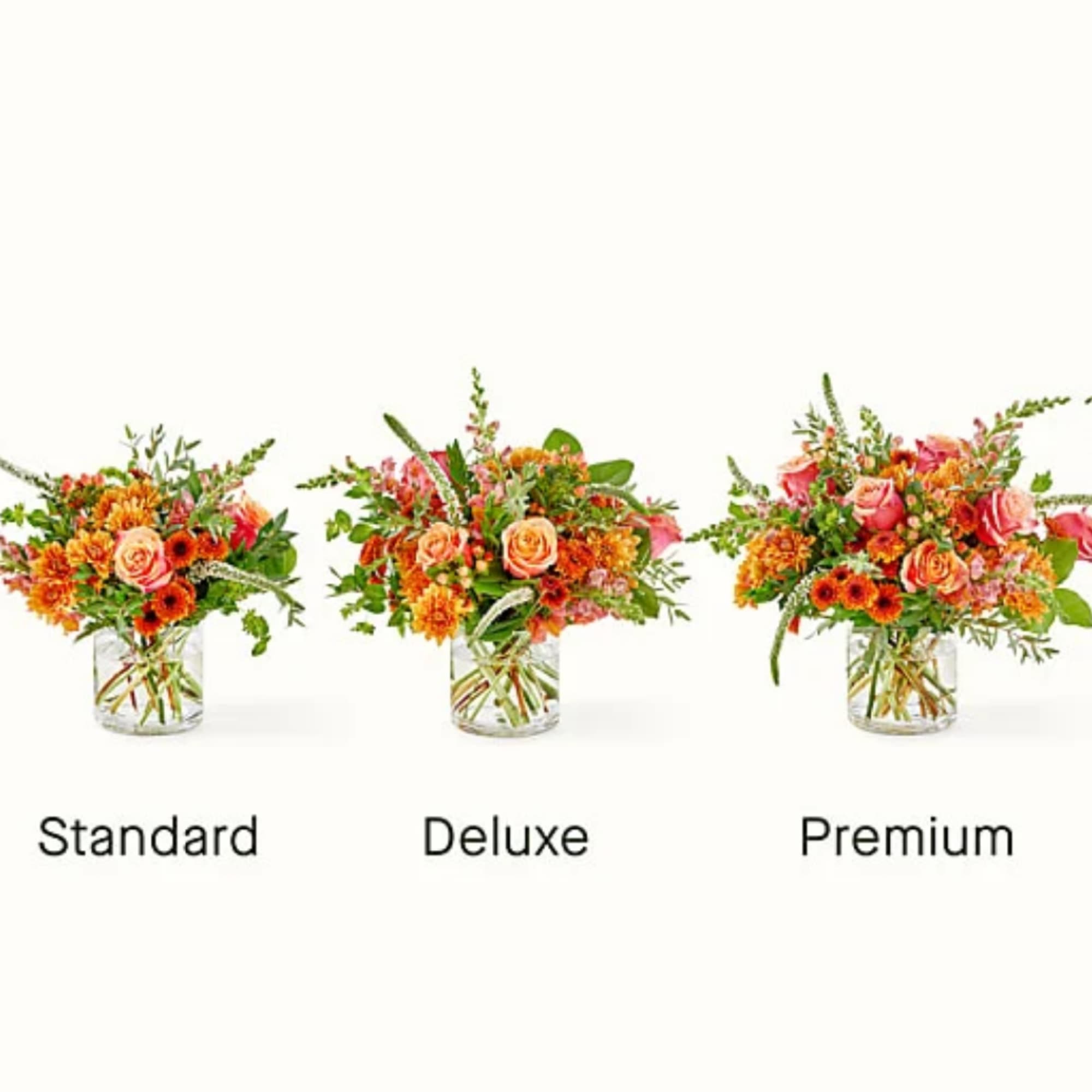 Three orange and pink flower arrangements in glass vases labeled Standard, Deluxe, and Premium.