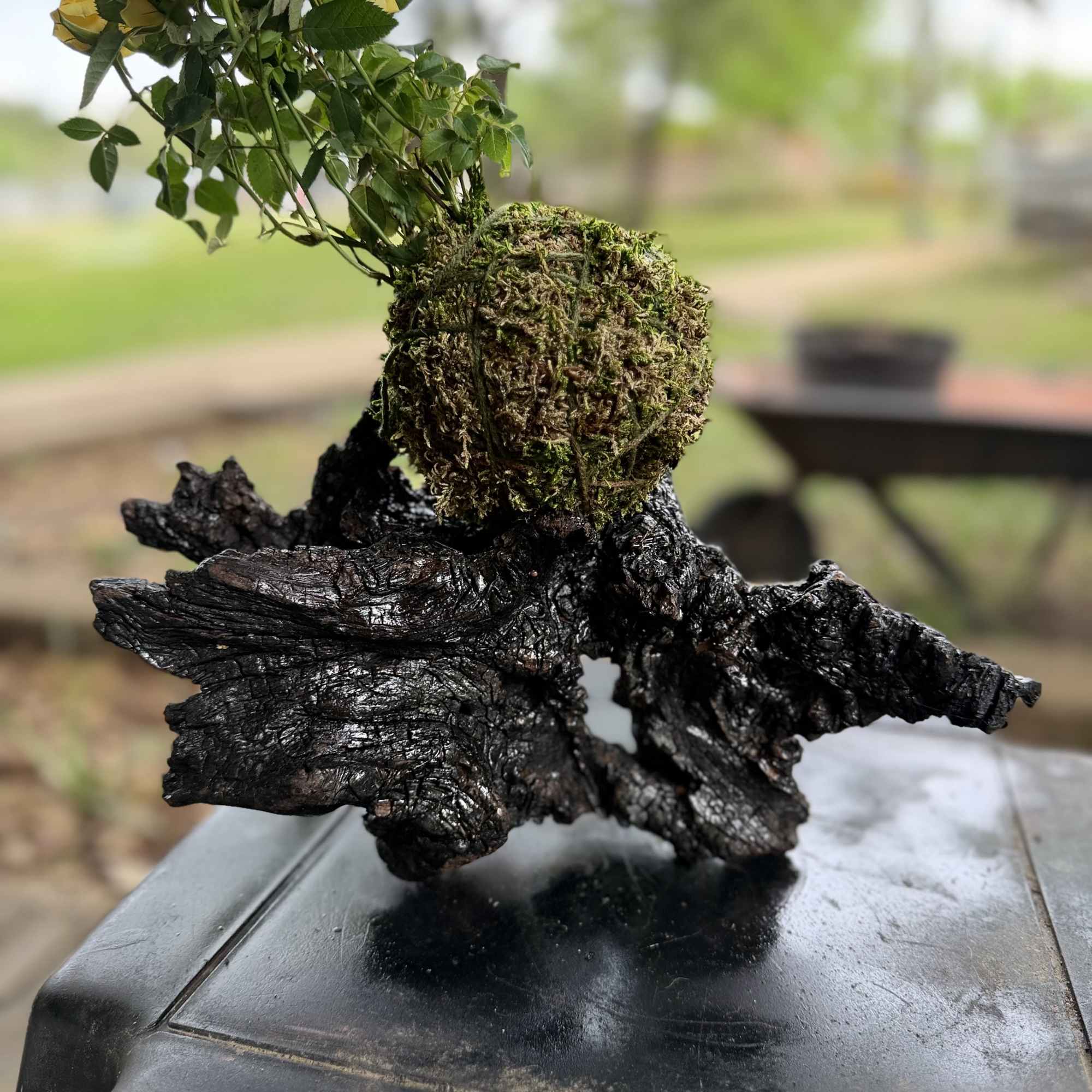 Not your average flower arrangement   

This handcrafted living floral sculpture