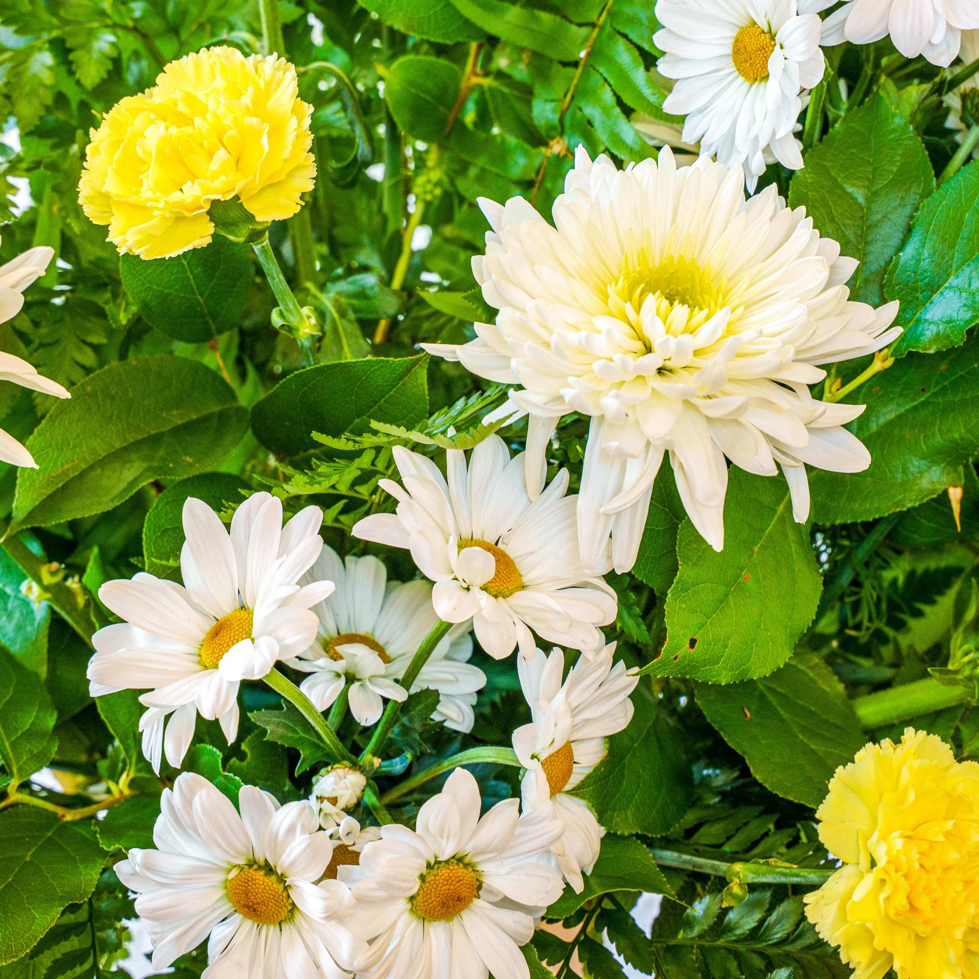 Remember the life of someone very special. This lovely arrangement is sure, photo 2 of 2
