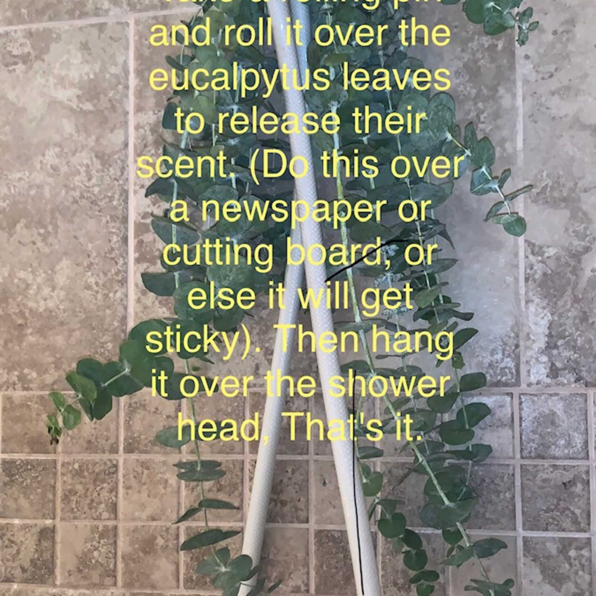 Bundle of eucalyptus hanging from a white shower head against a tiled wall.
