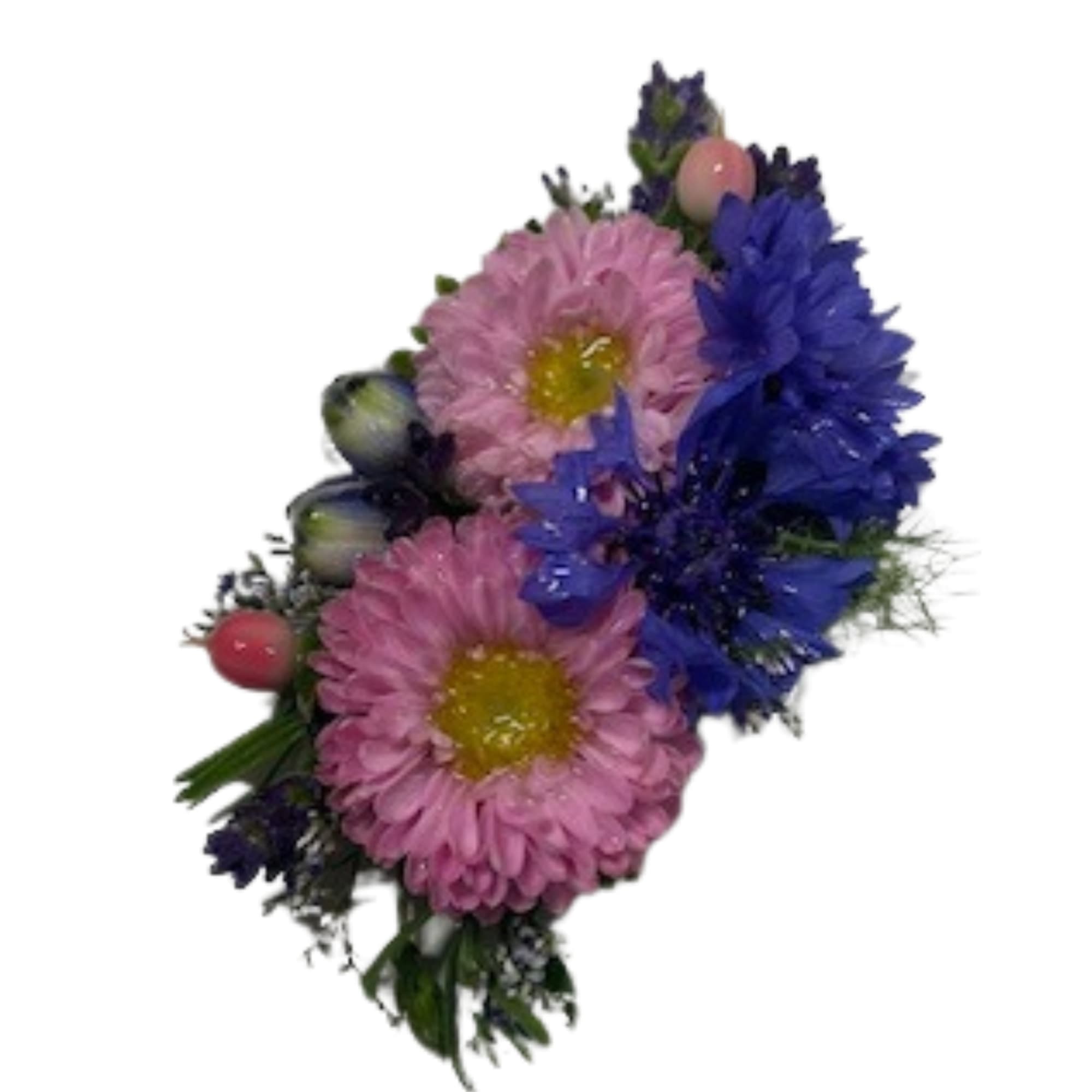 Pink and blue daisy bouquet with berry accents
