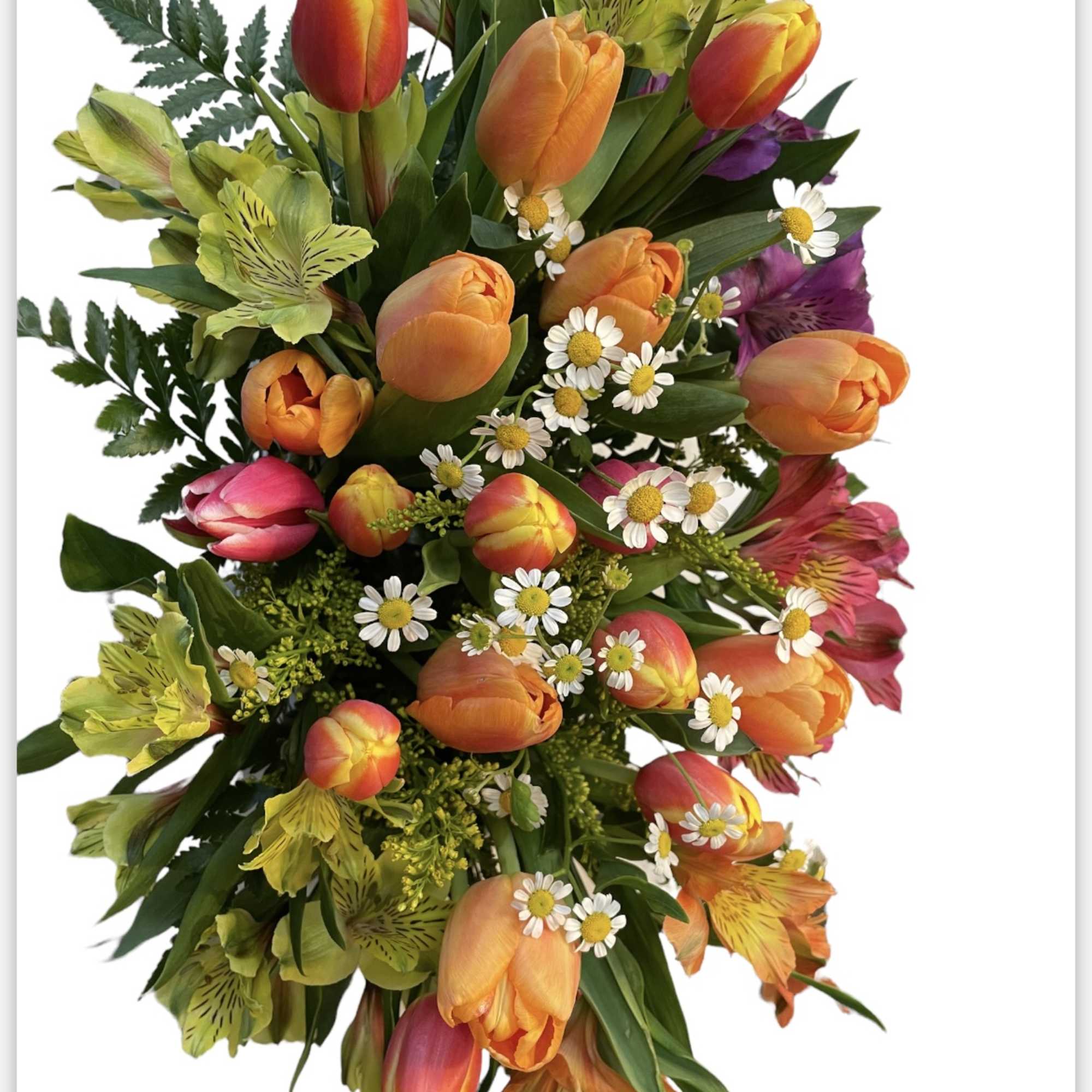 Bouquet of orange and pink tulips with small white daisies