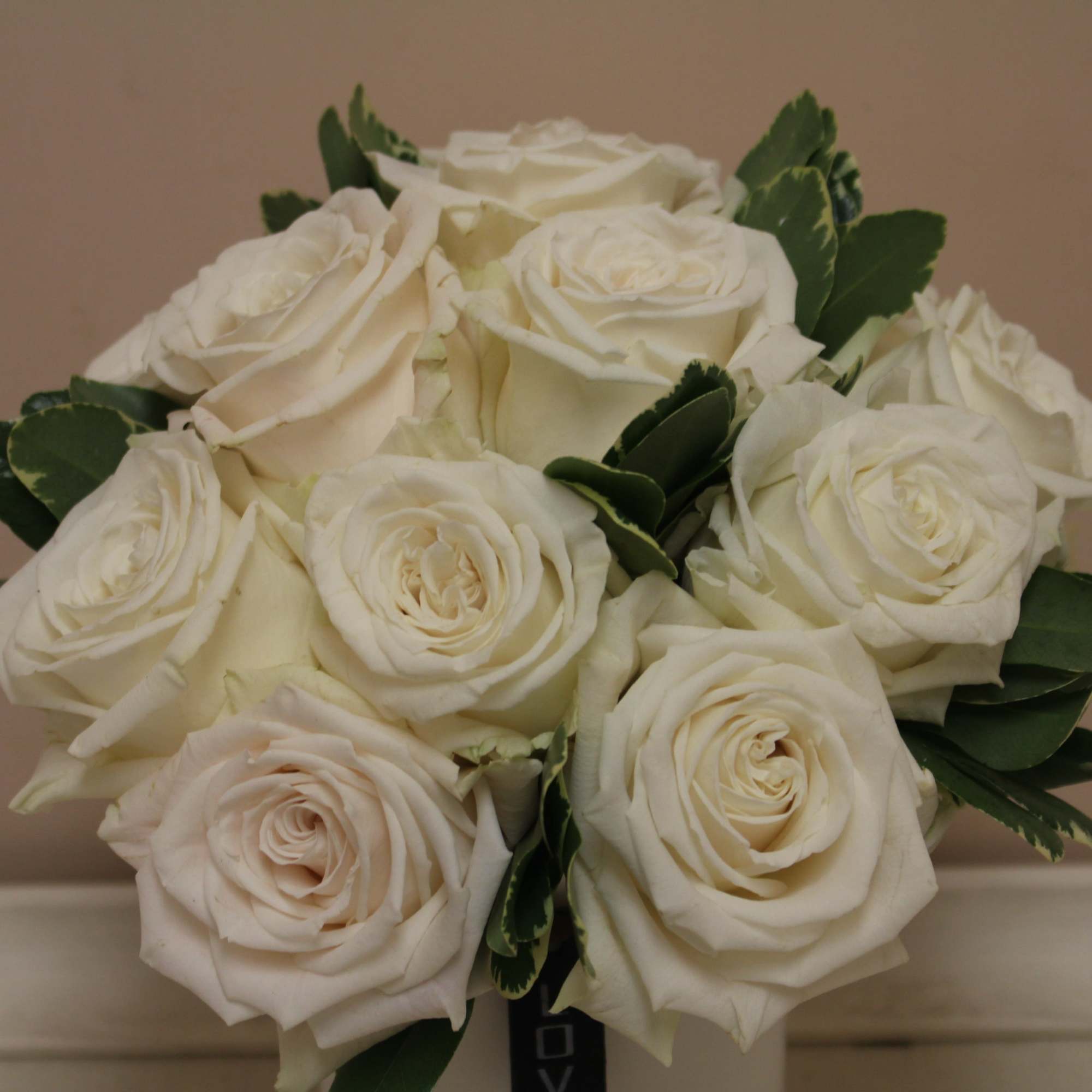Bouquet of white roses with dark green leaves