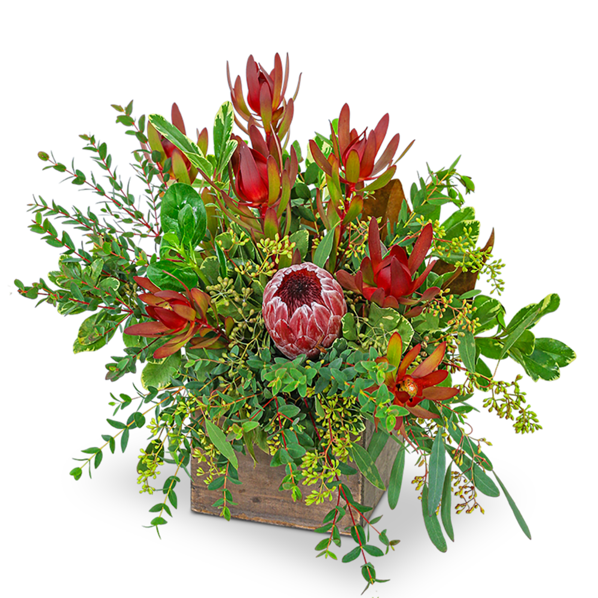 Wild and Lush Protea is a beautiful flower arrangement that captures the