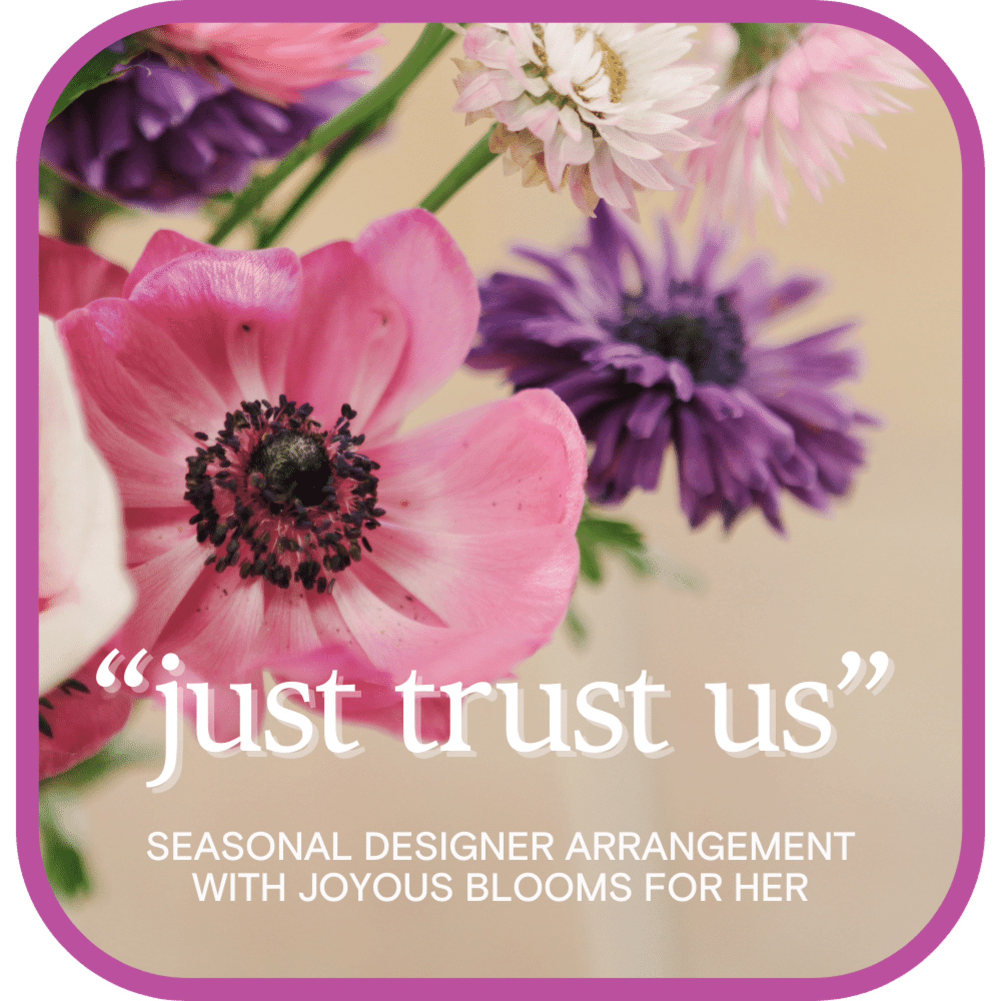 Pink and purple flowers with white blooms and text overlay
