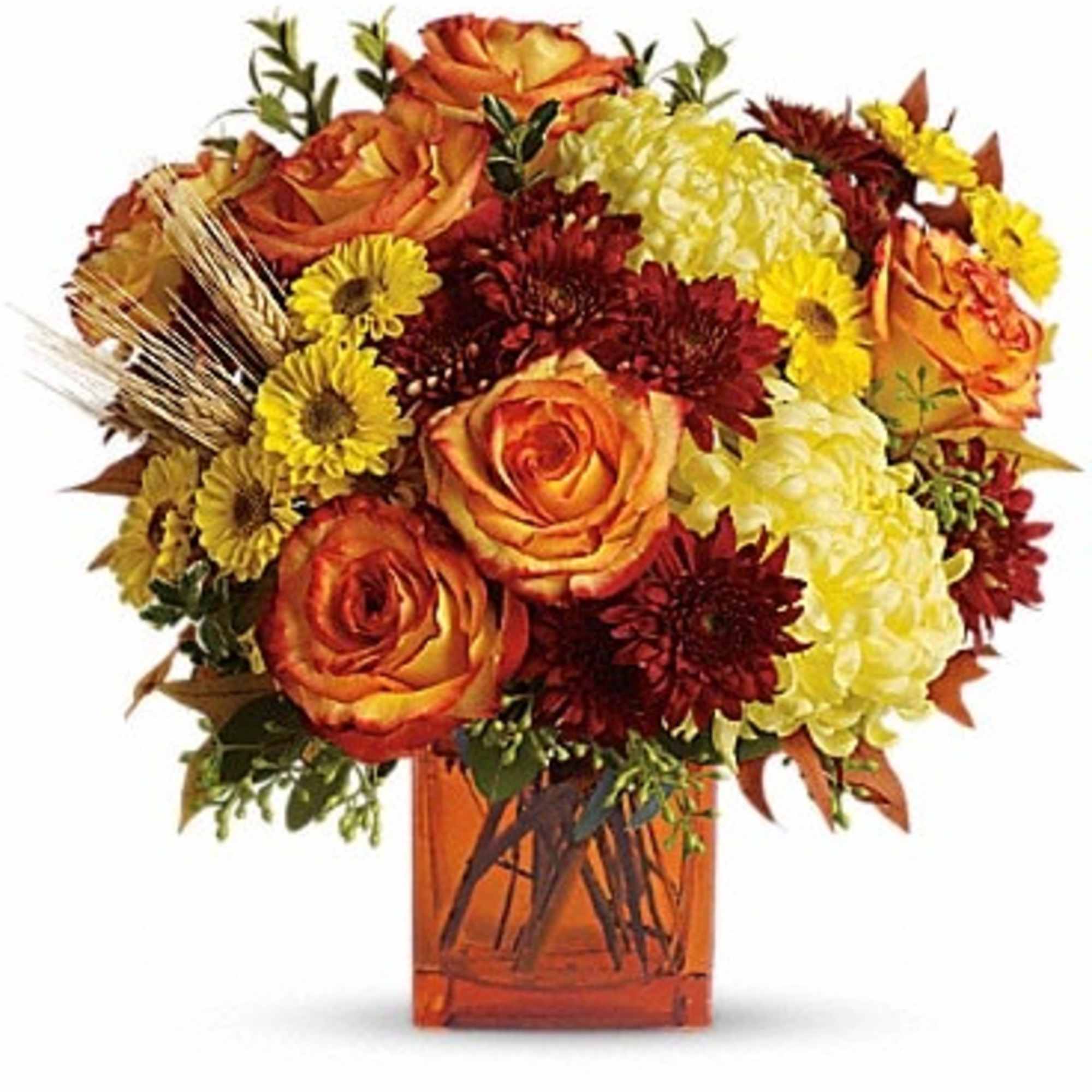 Autumn is an awesome season and it's meant to be celebrated in