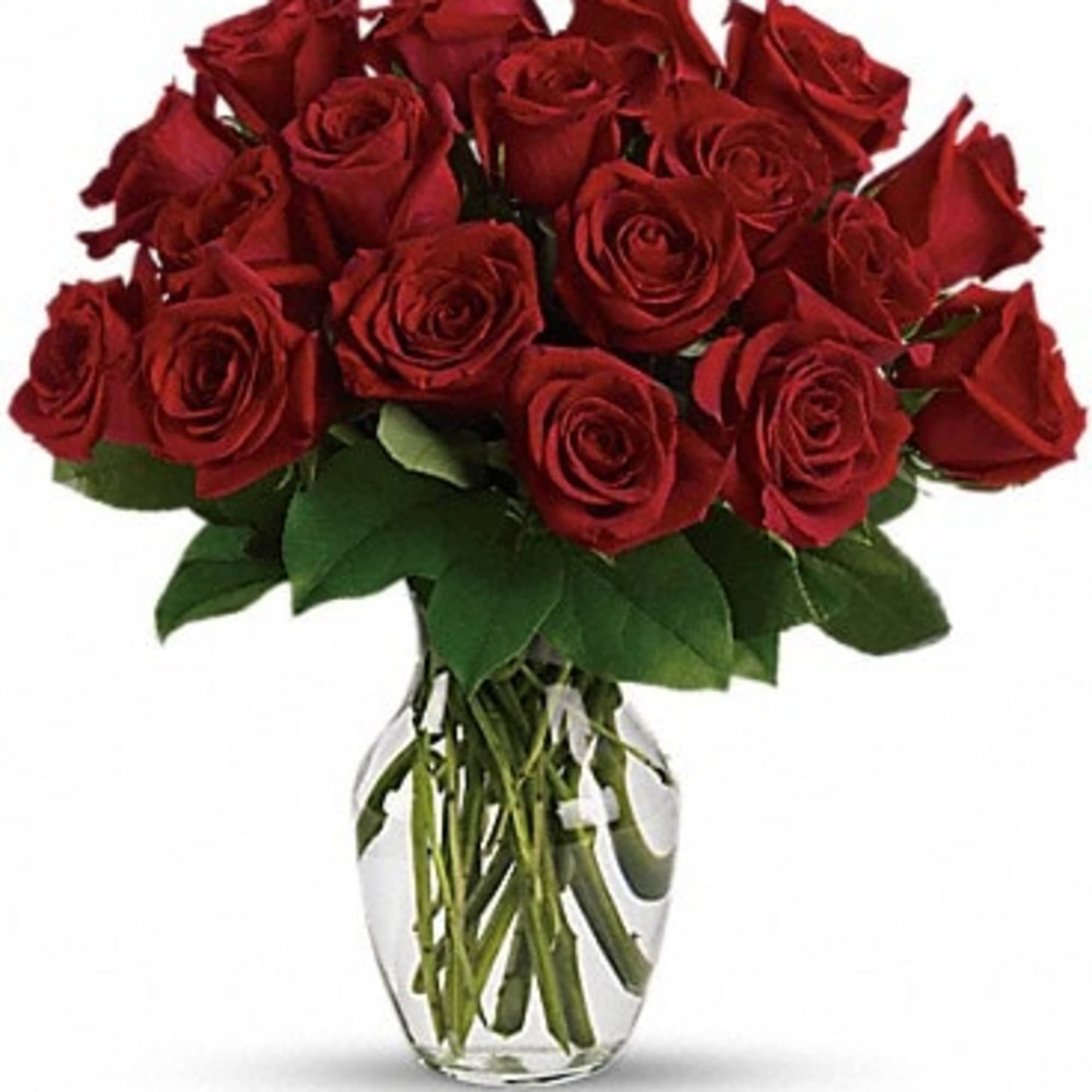 A dozen red roses is a timeless gift of love, and the