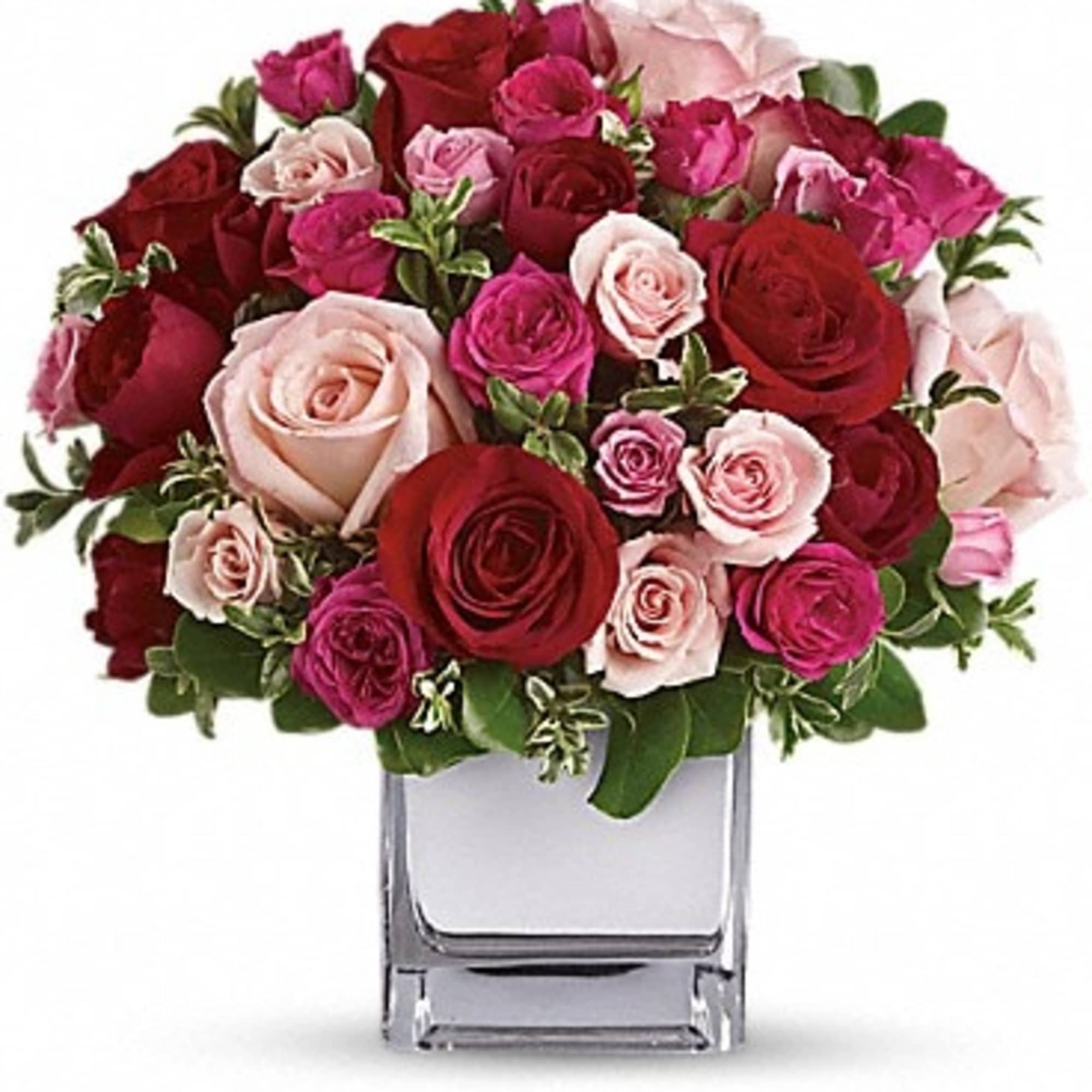 Sing them a love song - with flowers. This lush, loving rose
