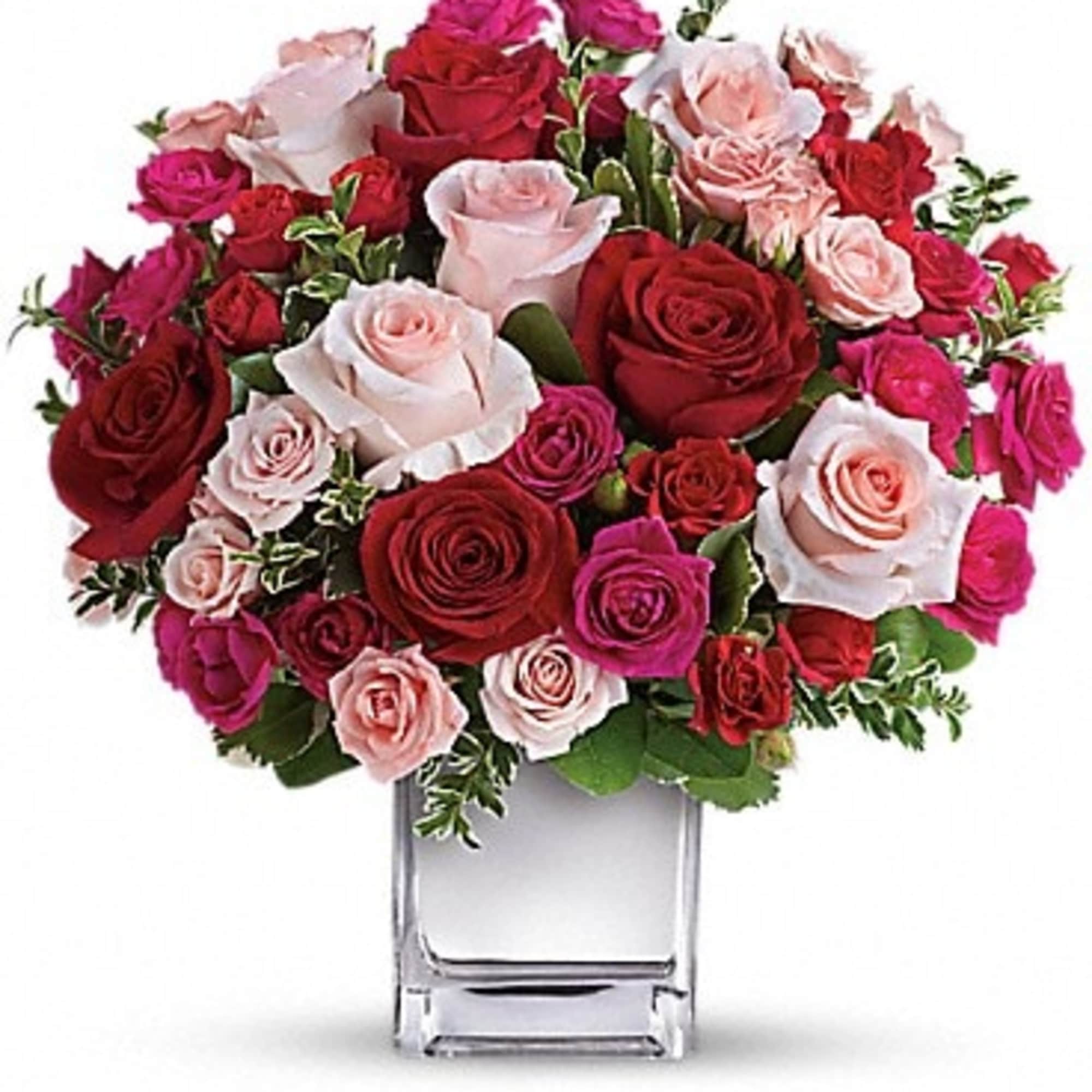 Sing them a love song - with flowers. This lush, loving rose