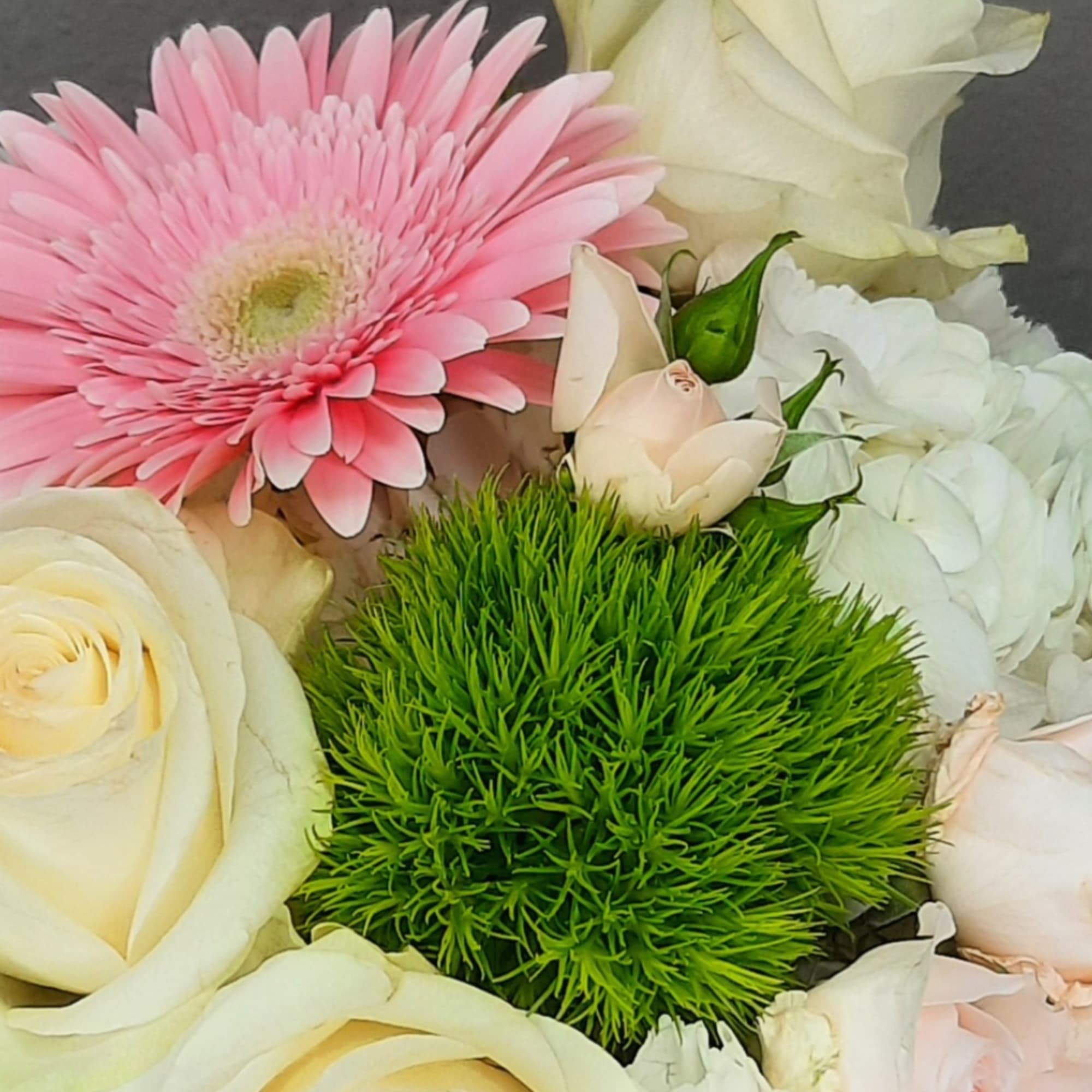 Pink gerbera daisy with cream roses and white blooms