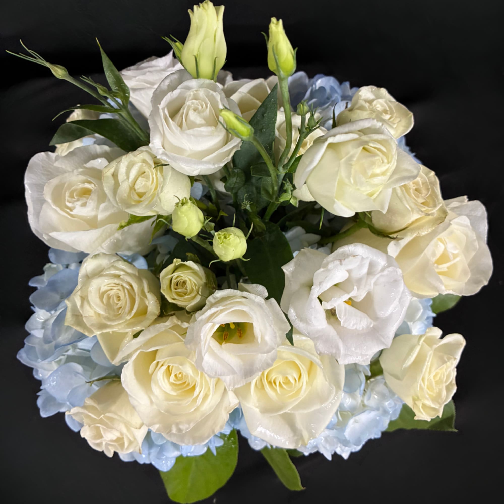 White roses and pale blue hydrangeas arranged in a round bouquet