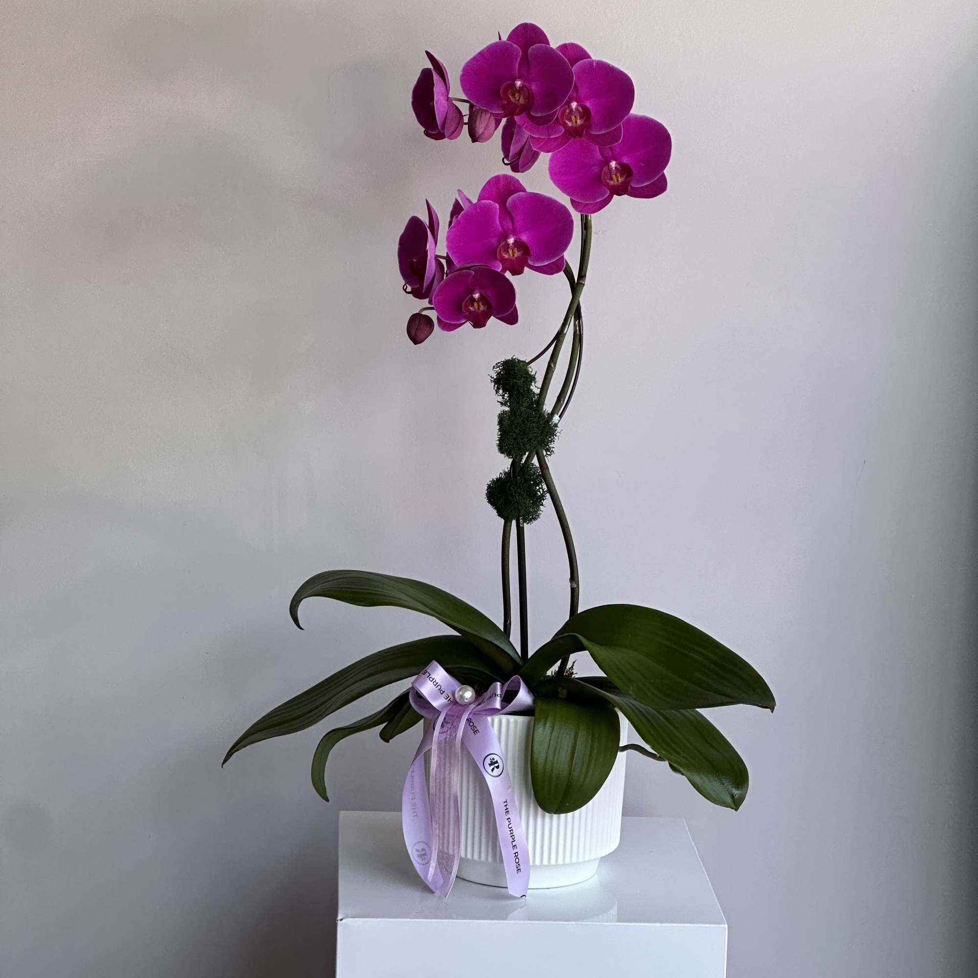 Orchids &ndash; fabulously beautiful composition for the most beautiful congratulations and to, photo 2 of 2