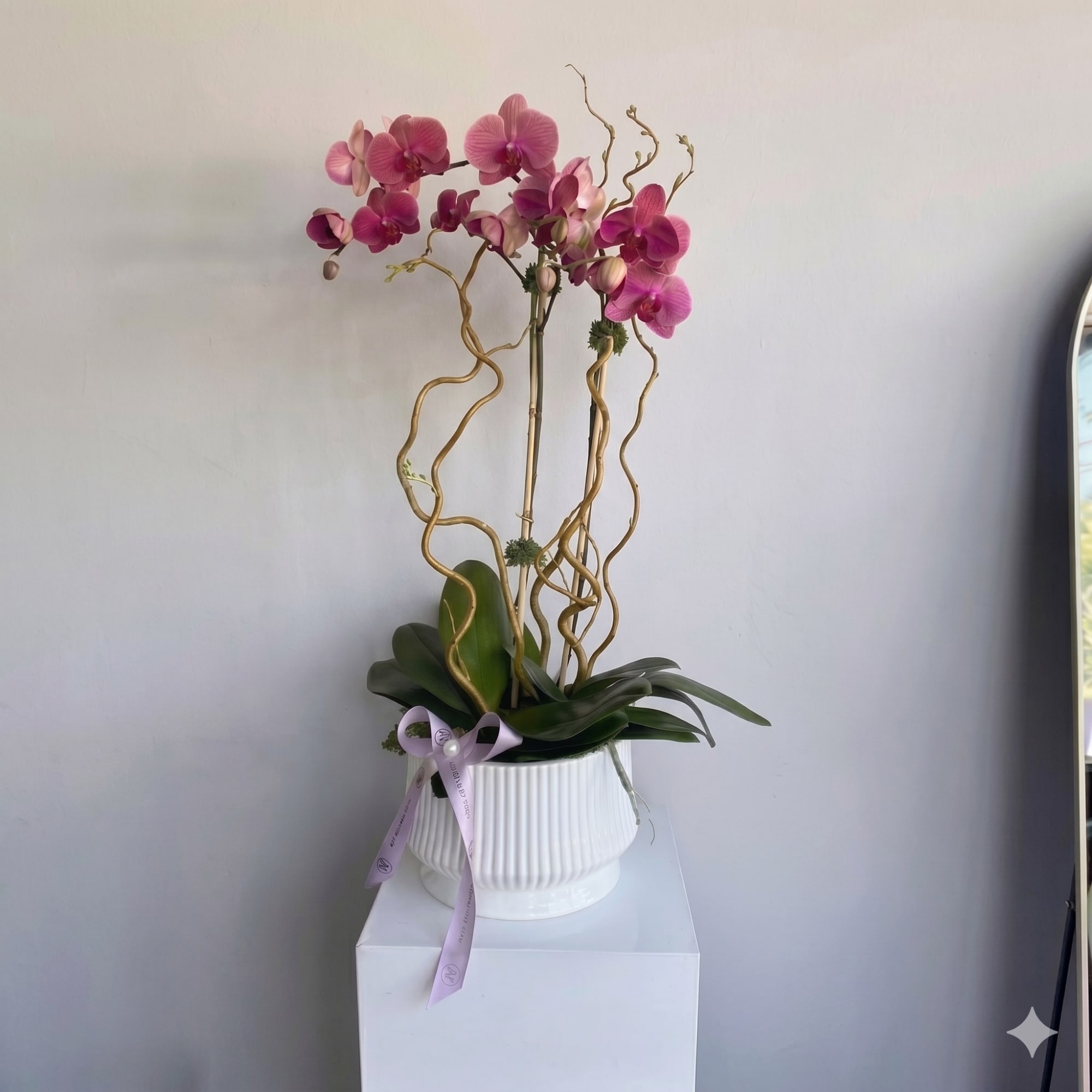 Orchids &ndash; fabulously beautiful composition for the most beautiful congratulations and to