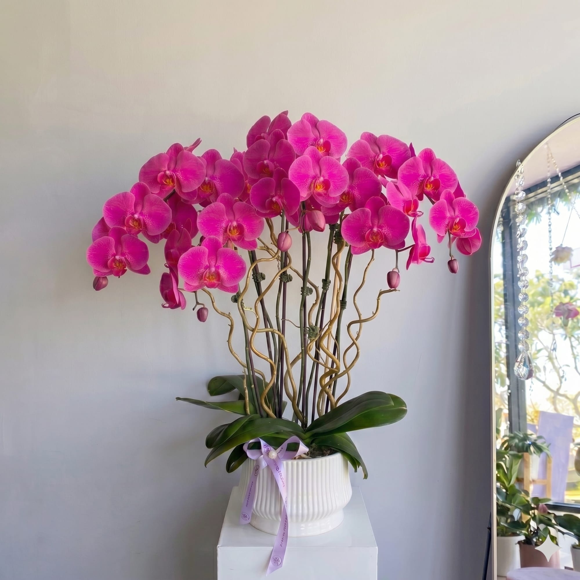 Orchids &ndash; fabulously beautiful composition for the most beautiful congratulations and to
