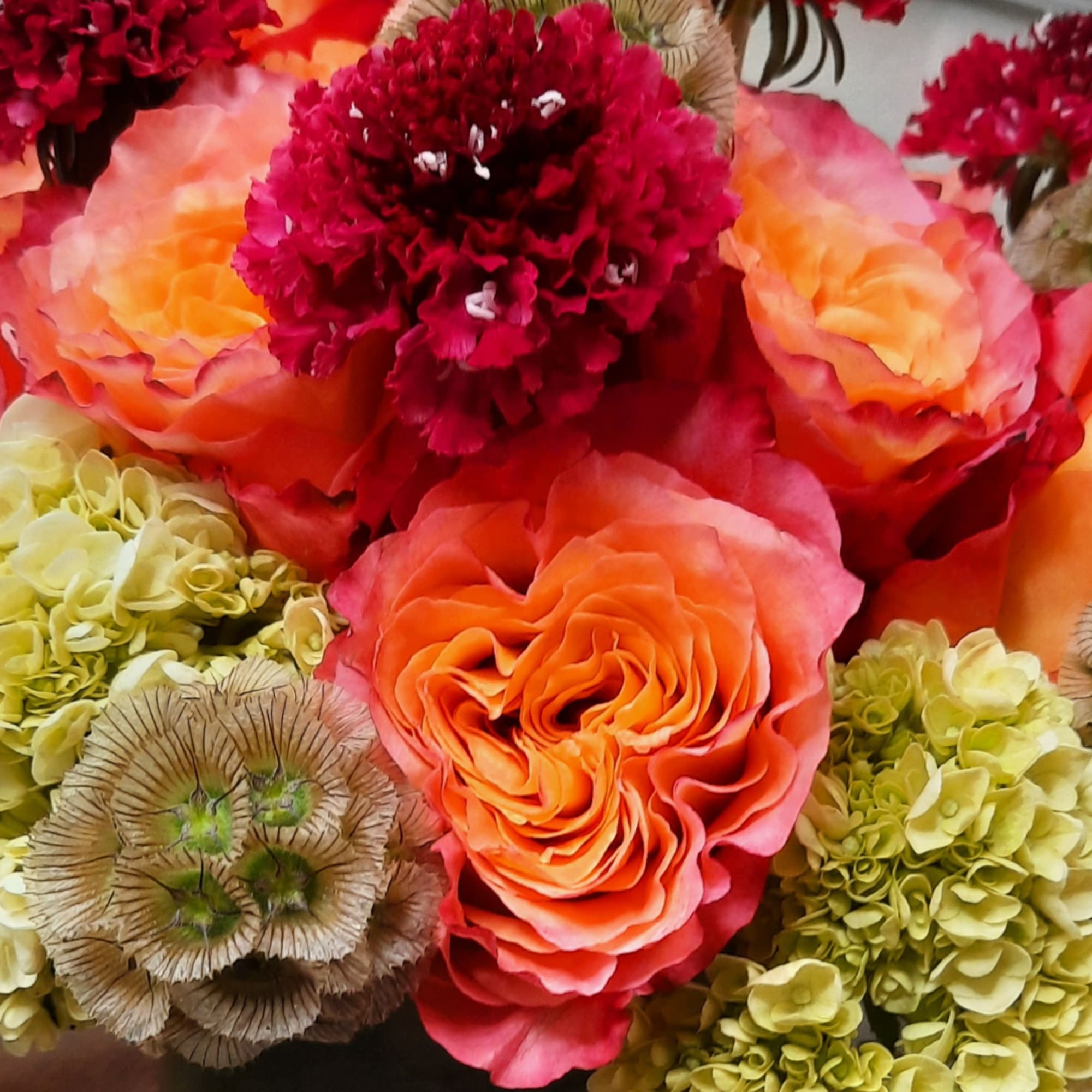 Close-up of orange roses and red carnations with pale green hydrangeas