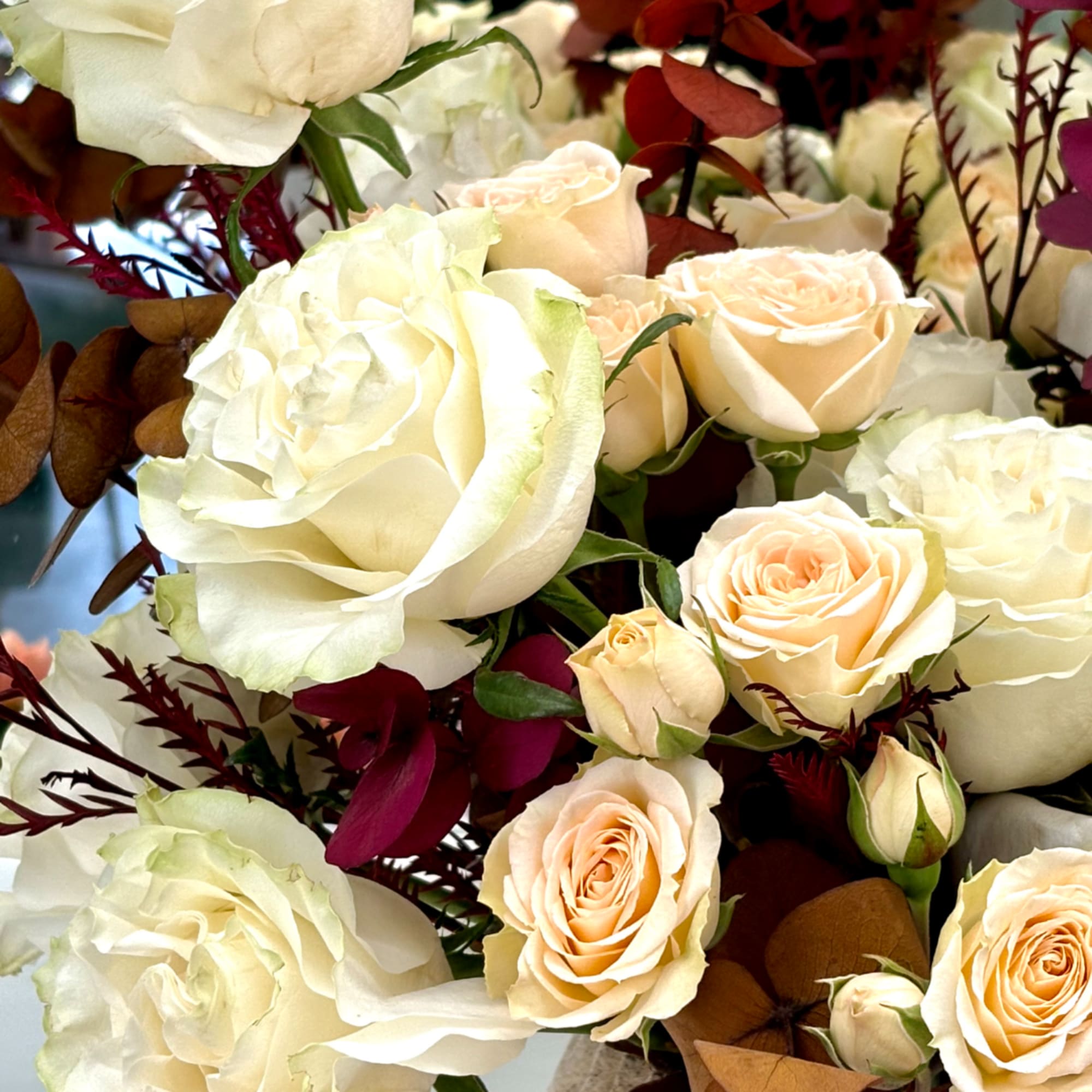 Bouquet of cream and peach roses with burgundy foliage