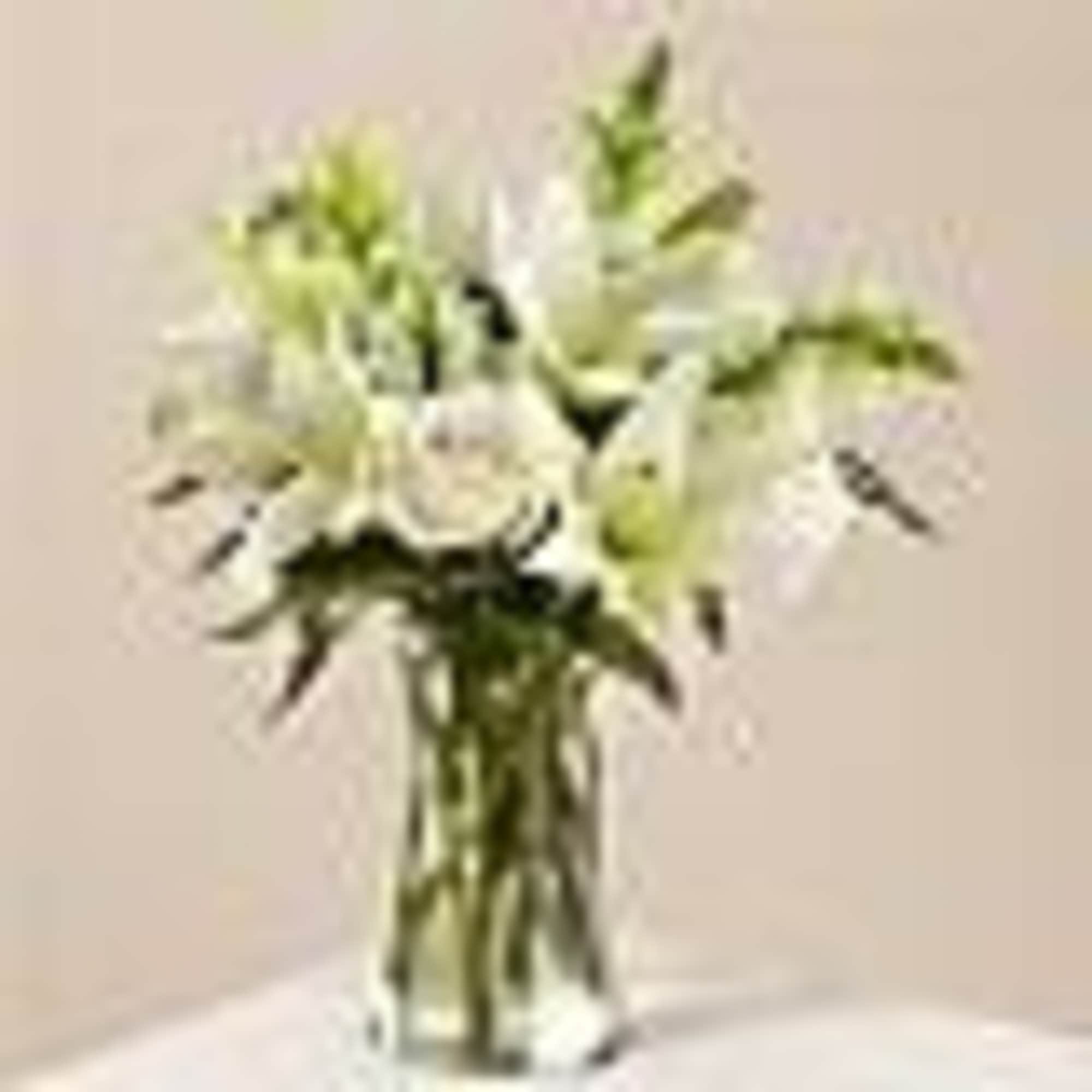 An exuberance of bright and beautiful white blossoms provides an exquisite way, photo 2 of 2
