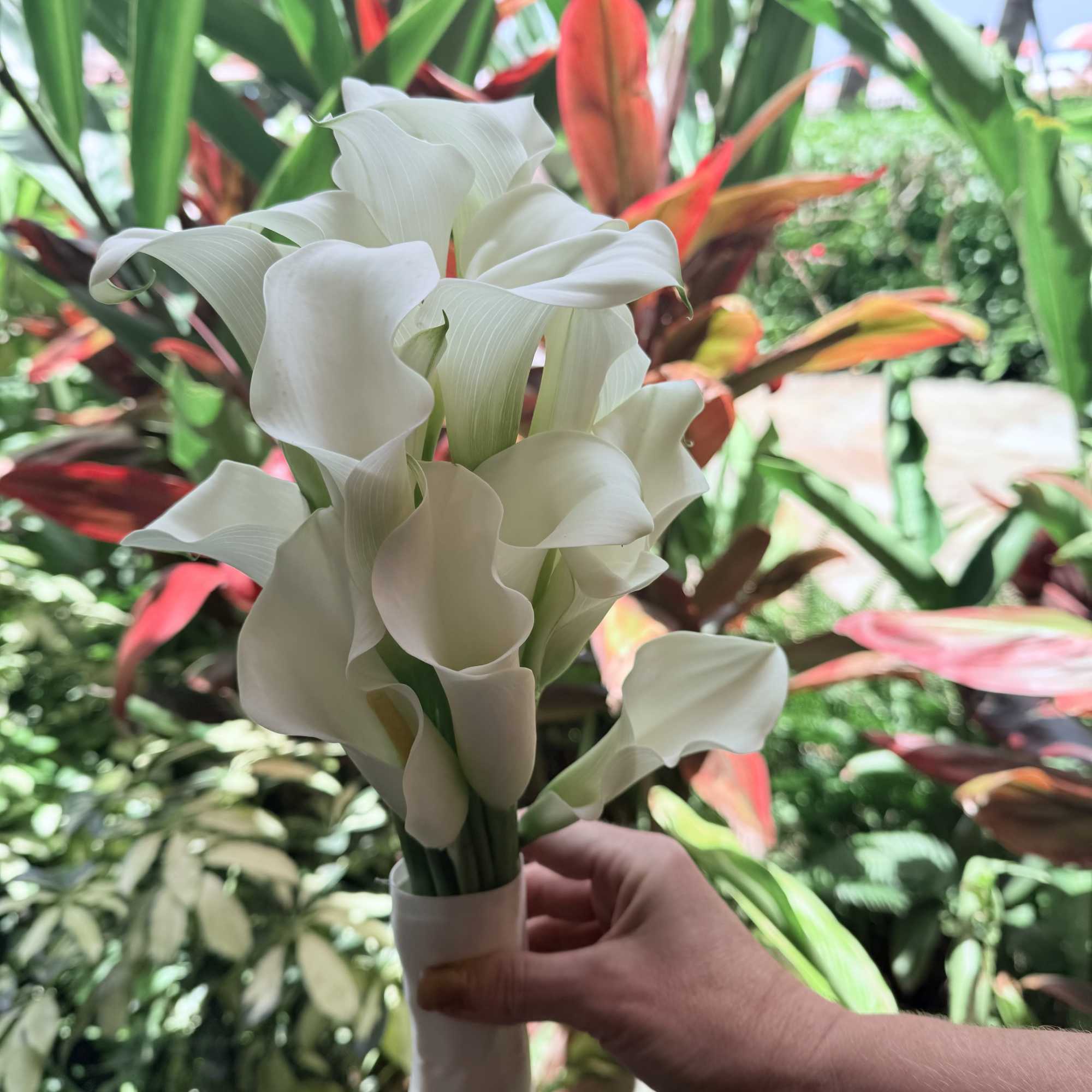 In season white dendrobium orchid, white, spray rose filled with ti-leaf and, photo 2 of 2