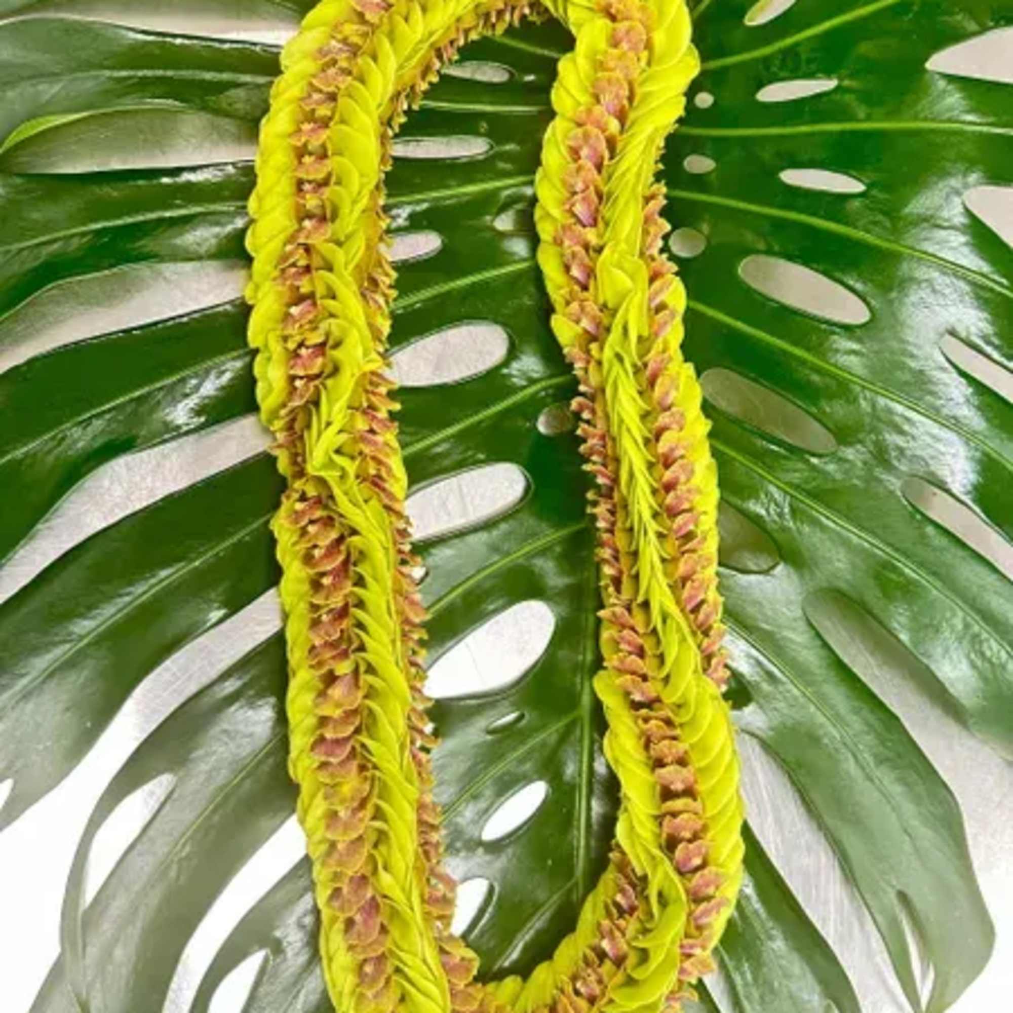 Yellow flower lei on large green leaves