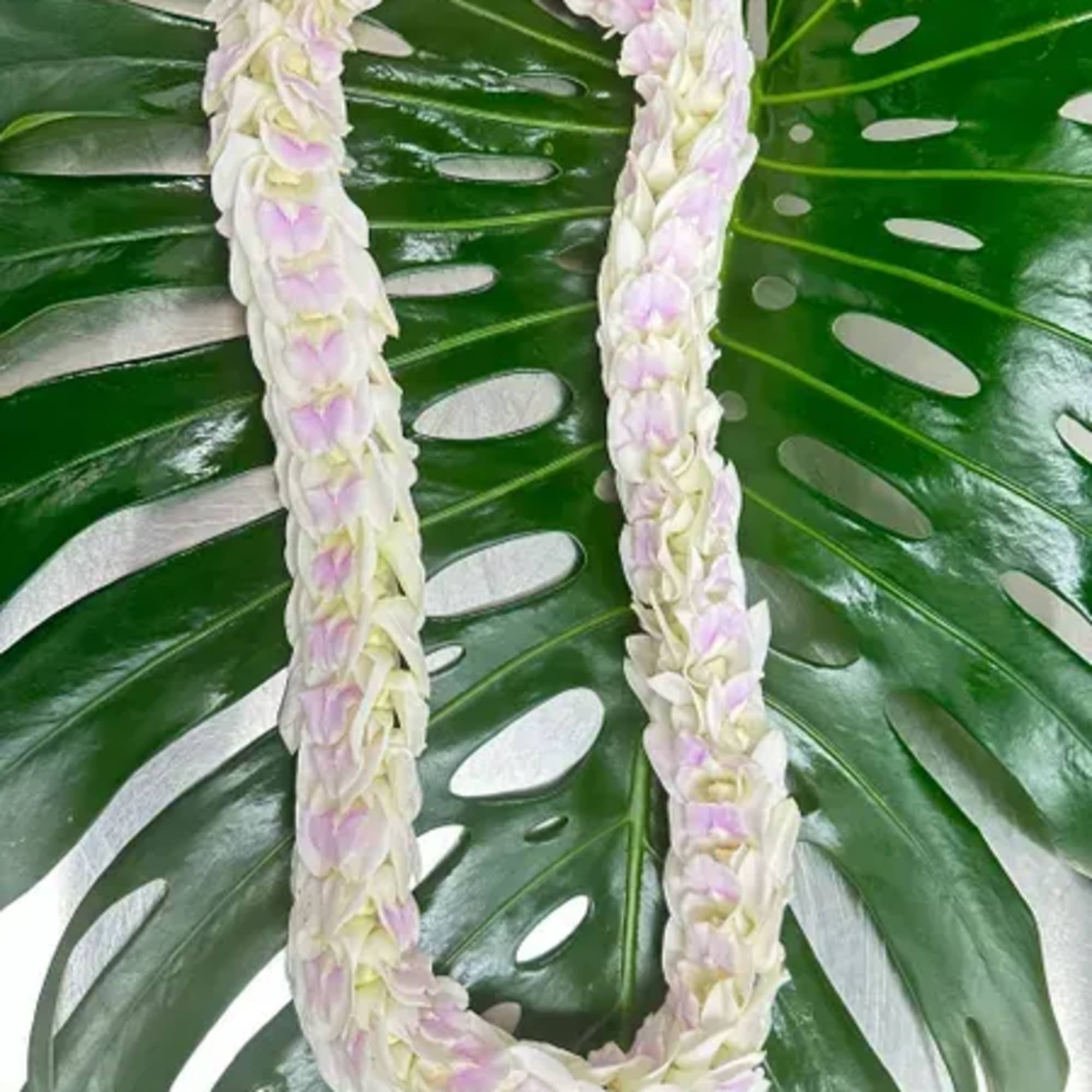 A white and pale pink flower lei laid on large green tropical leaves
