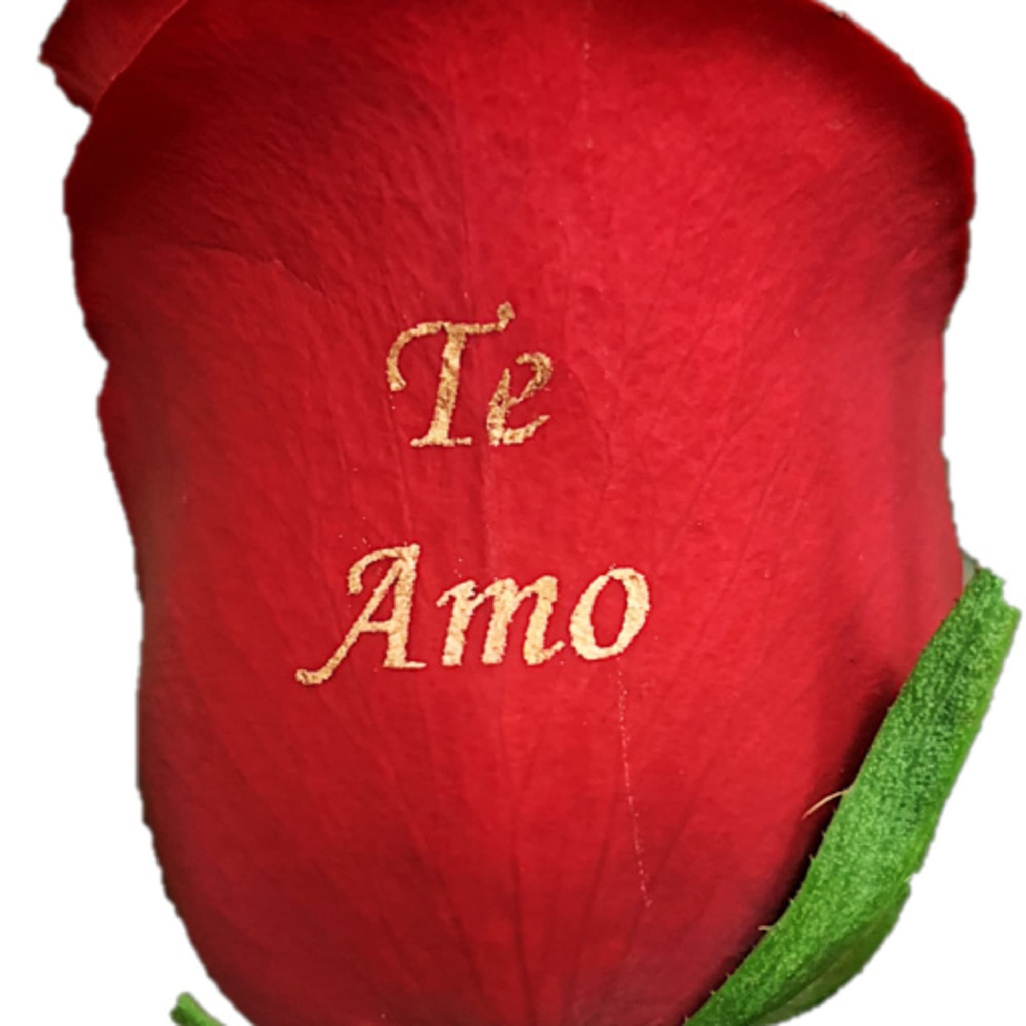 One dozen long stem roses each individually rose personalized with the message, photo 2 of 3