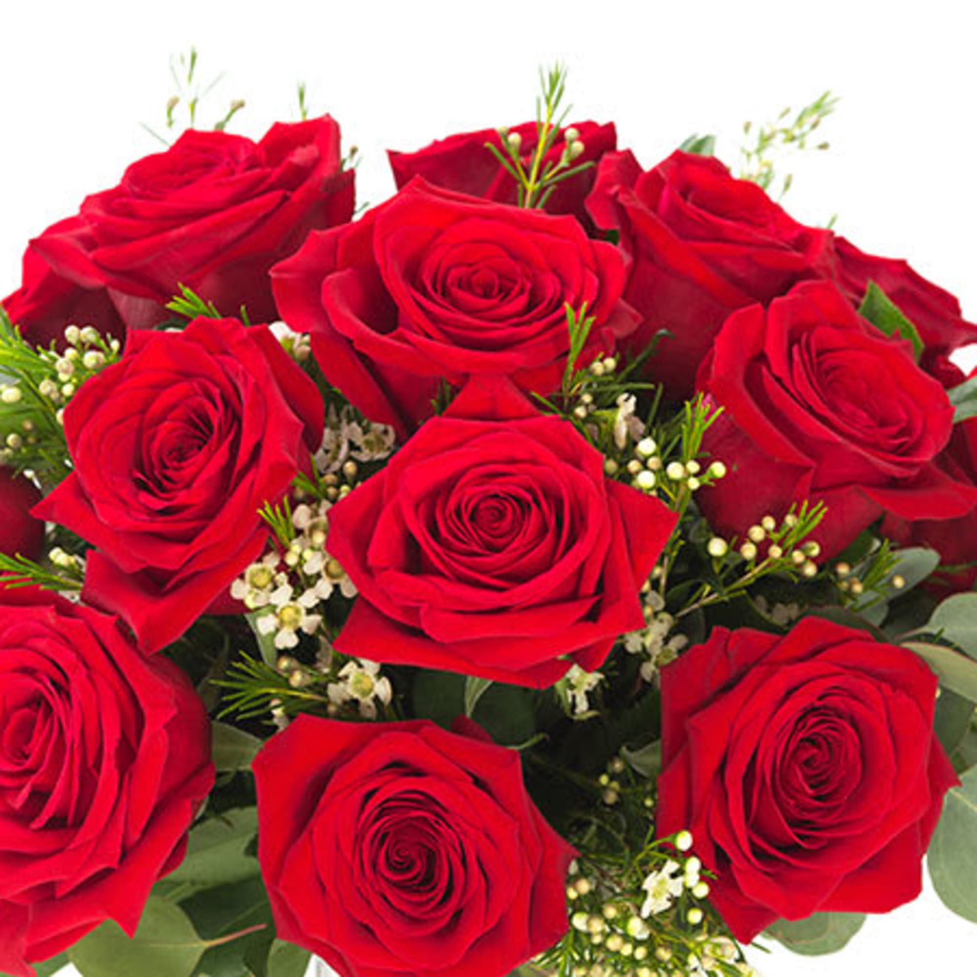 Bouquet of red roses with small white filler flowers