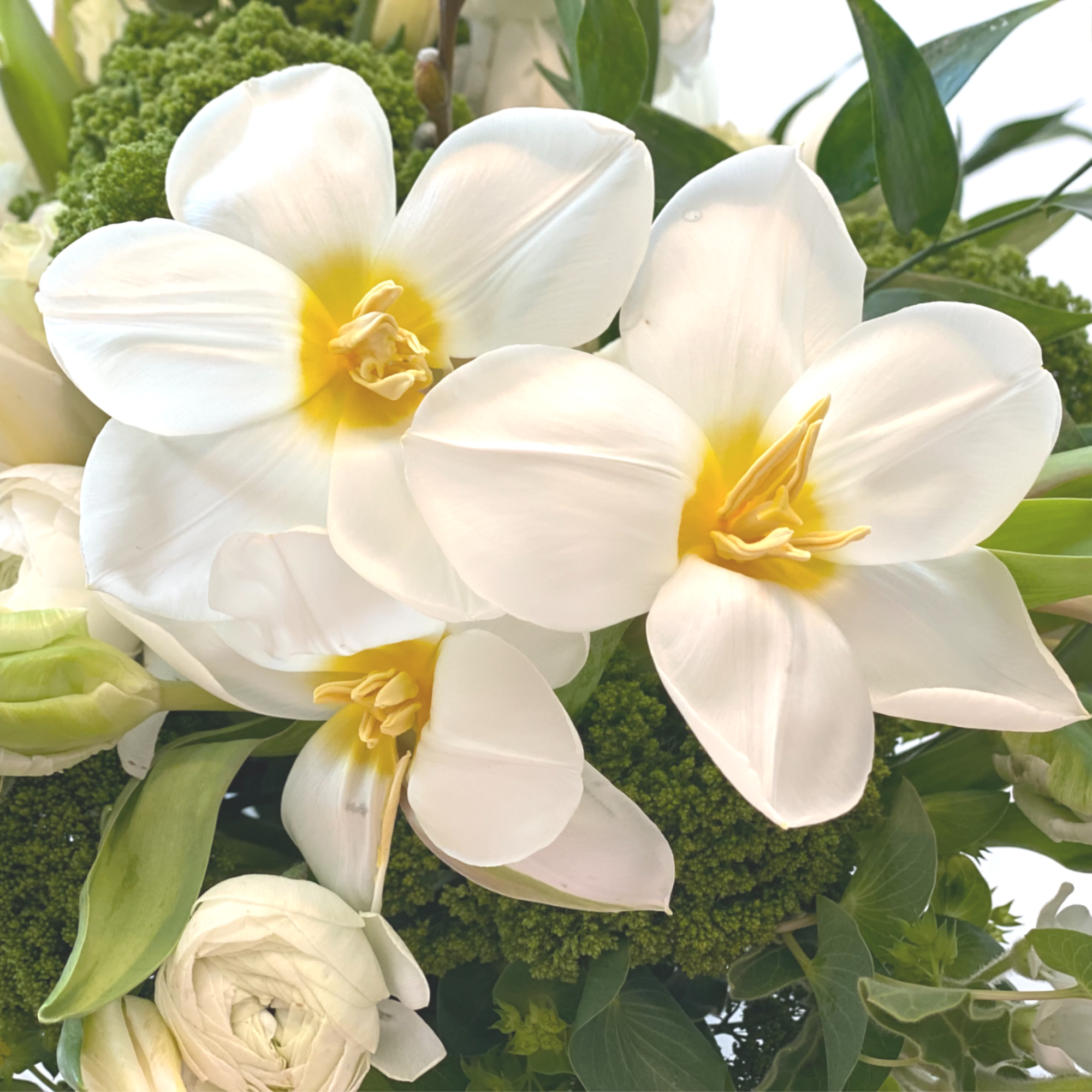 Close-up of white tulips with yellow centers mixed with white ranunculus and green accents
