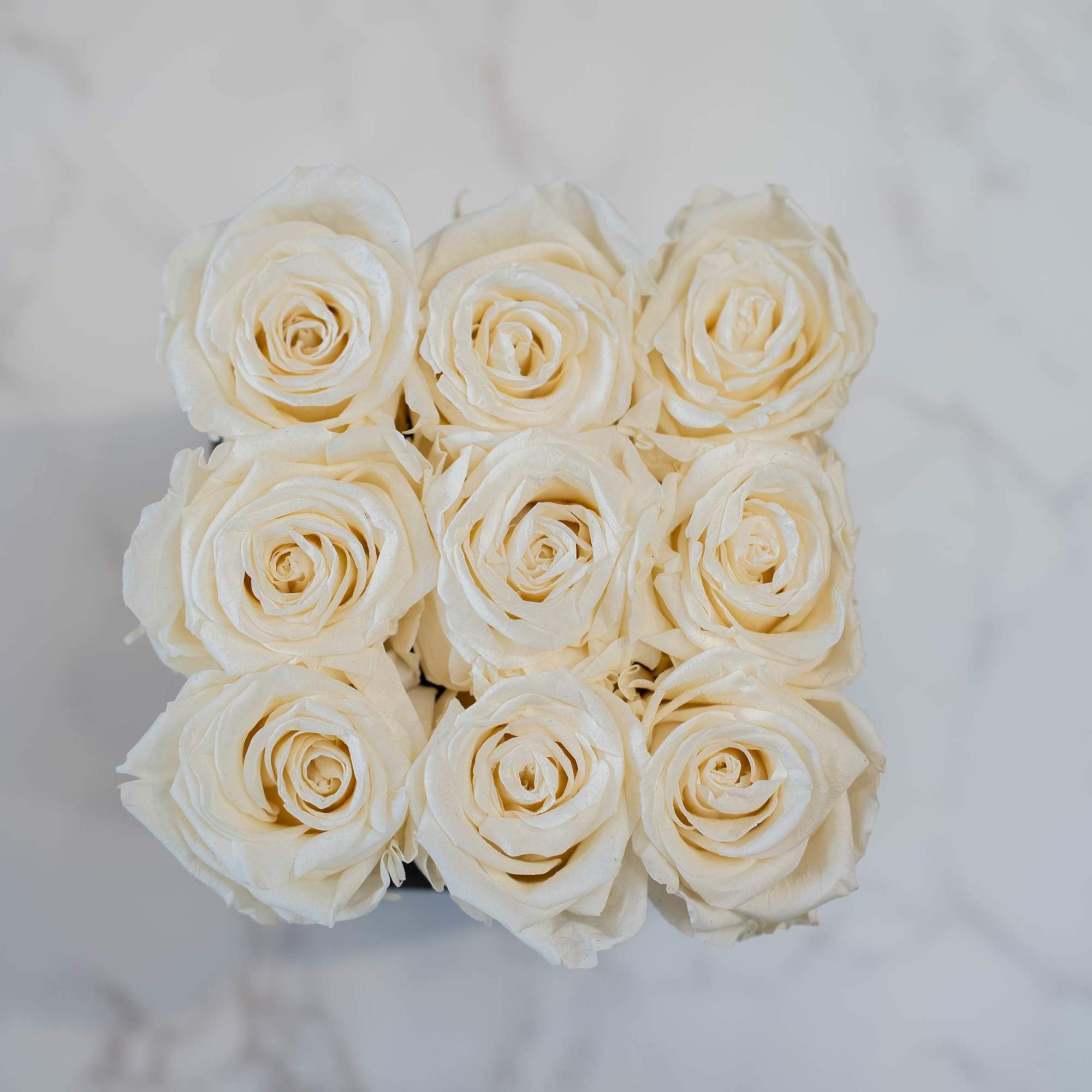 High end preserved roses, custom designed by hand in our local shop, photo 2 of 2