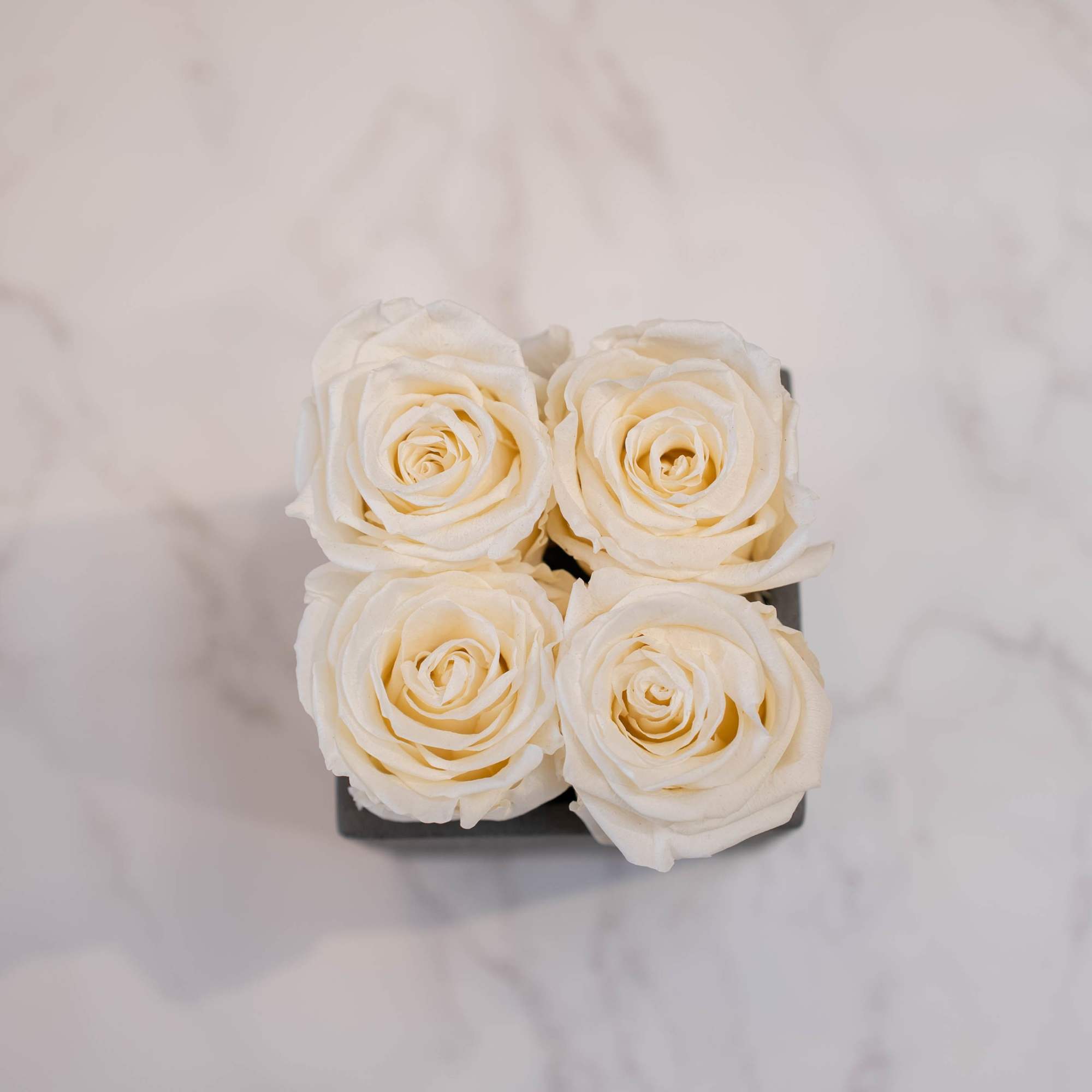 High end preserved roses, custom designed by hand in our local shop, photo 2 of 2