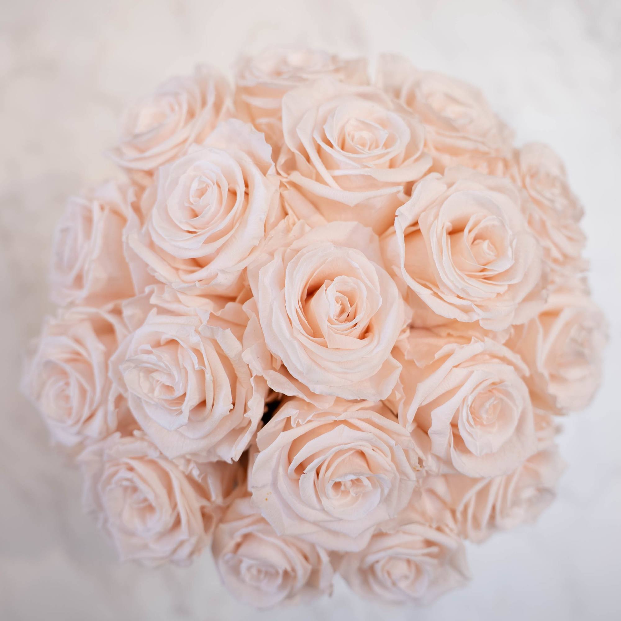 High end preserved roses, custom designed by hand in our local shop, photo 2 of 2