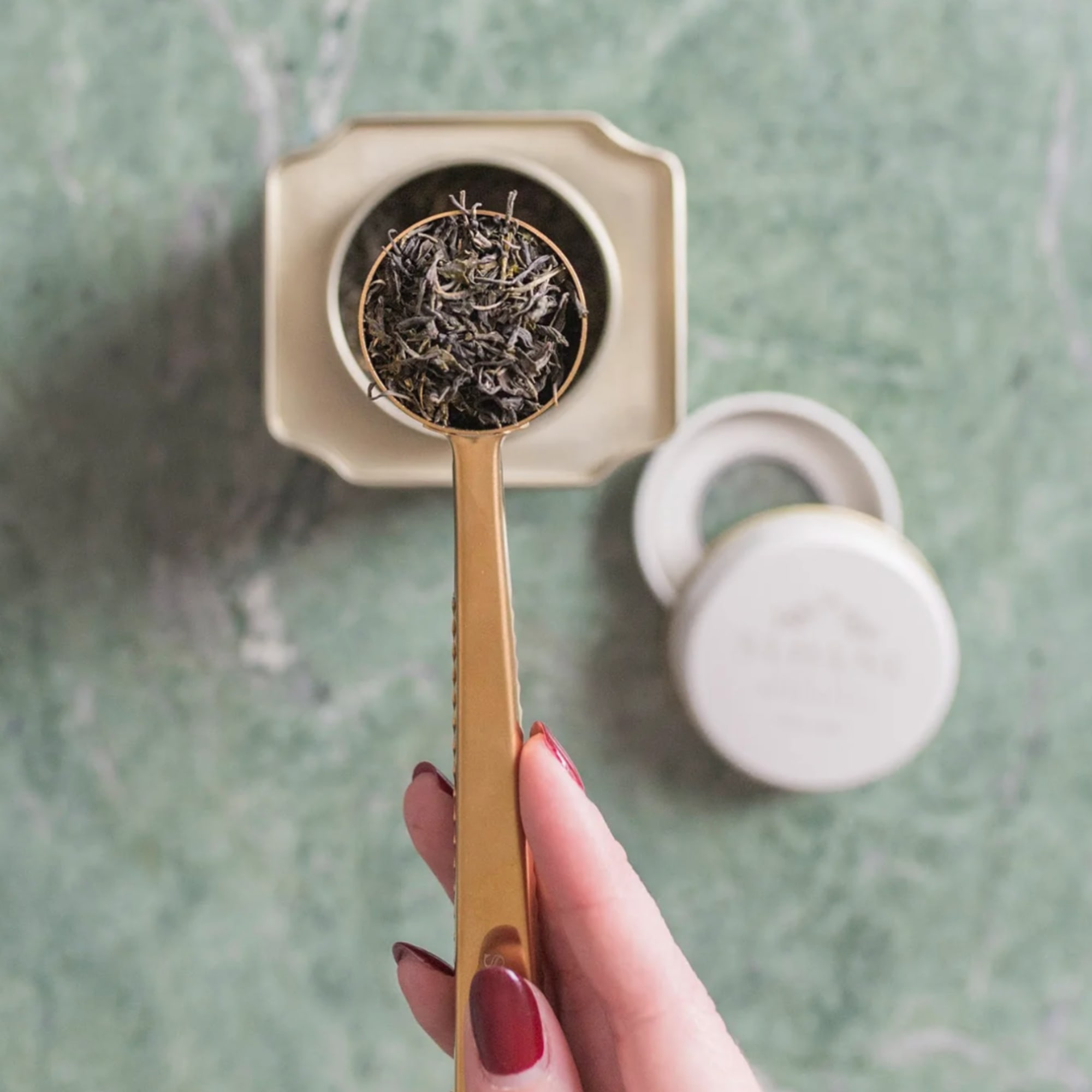 Hand holding a gold spoon filled with loose tea beside a small tin