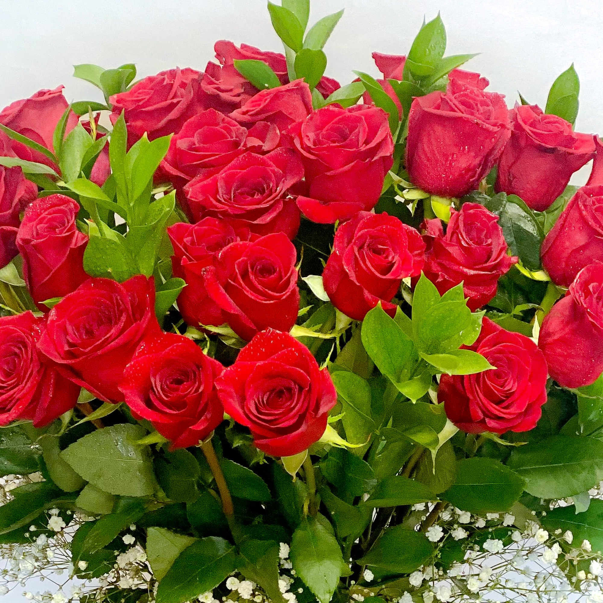 Go big with your love by sending the most extravagant 3 dozen, photo 2 of 3