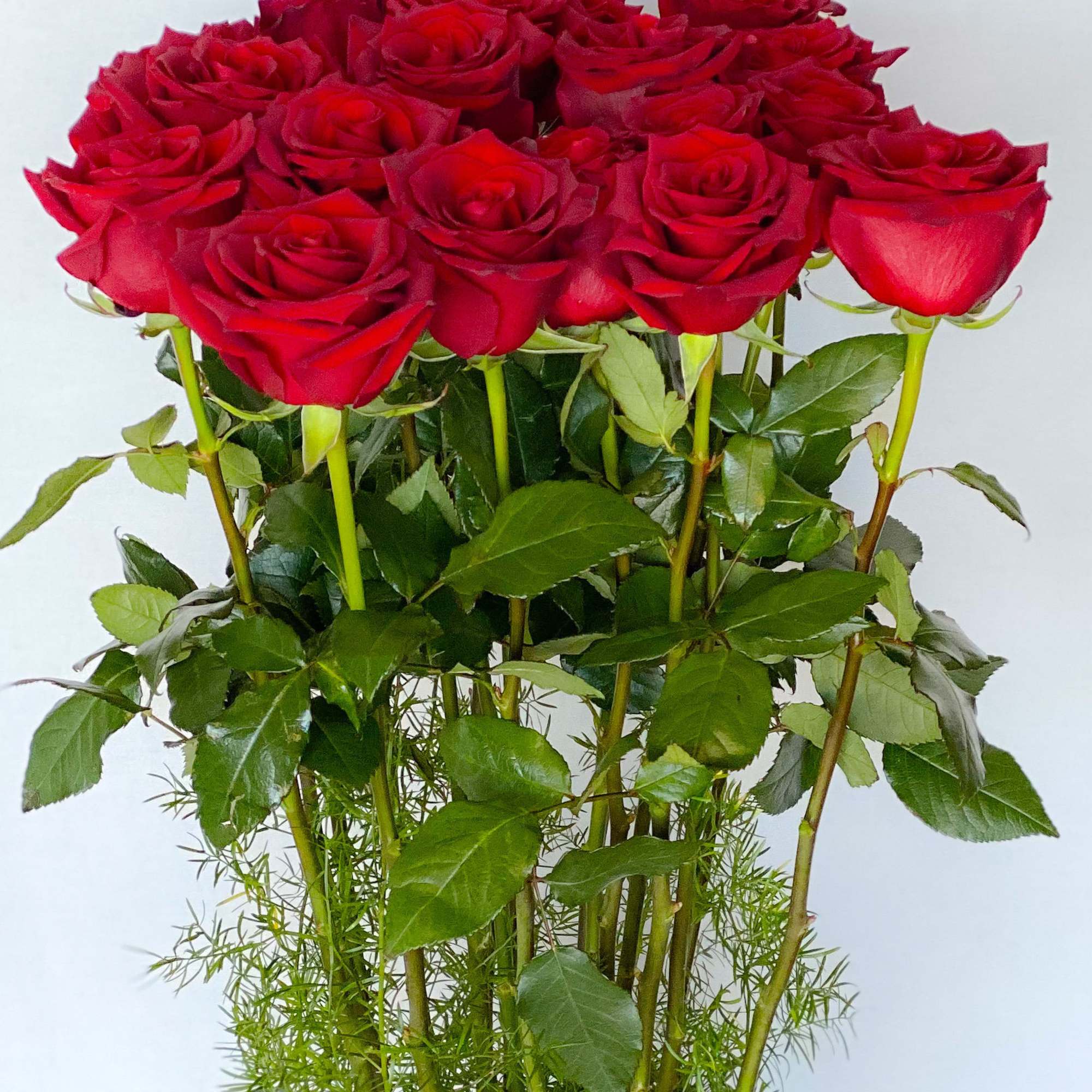 Bouquet of red roses with green foliage