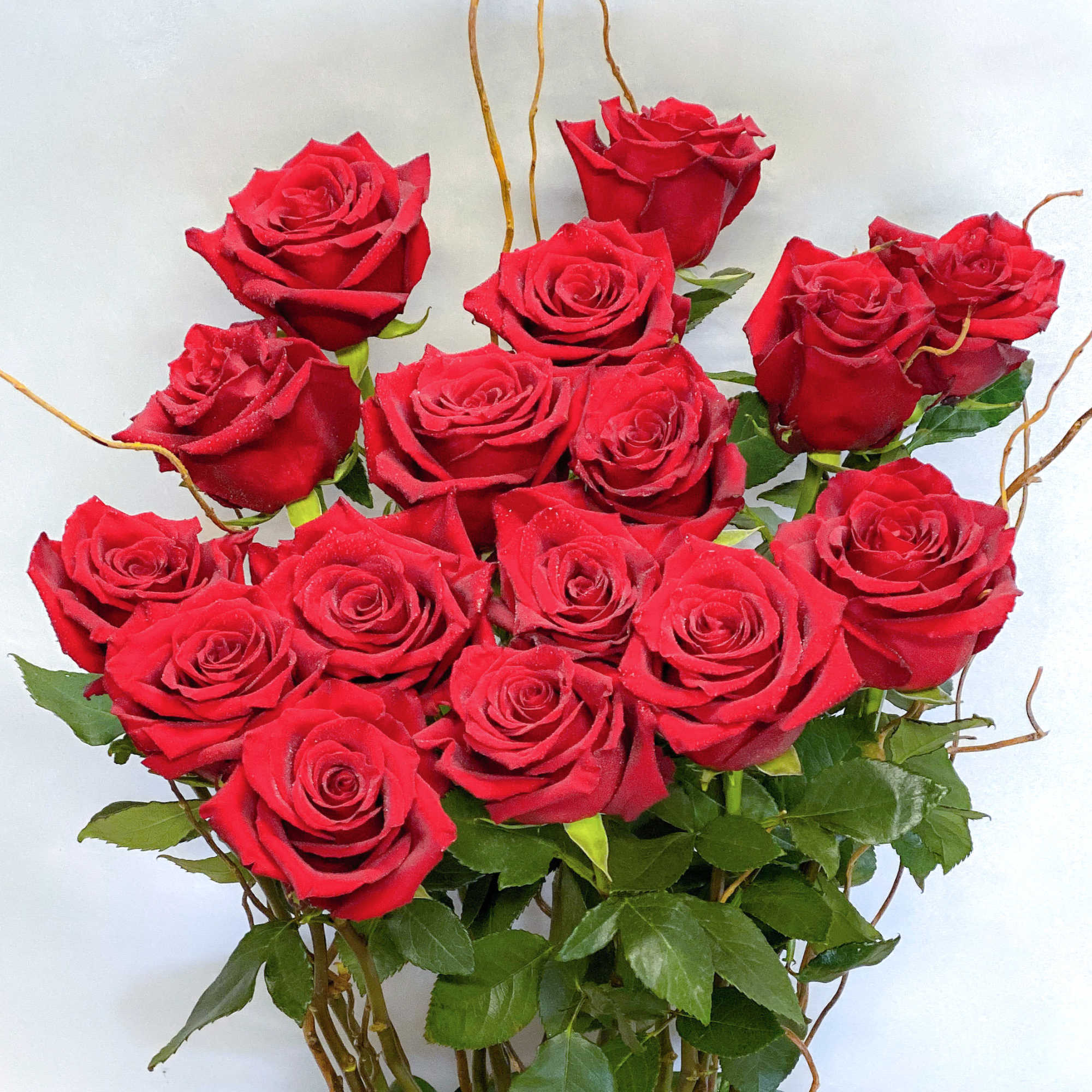 Bouquet of red roses with green leaves