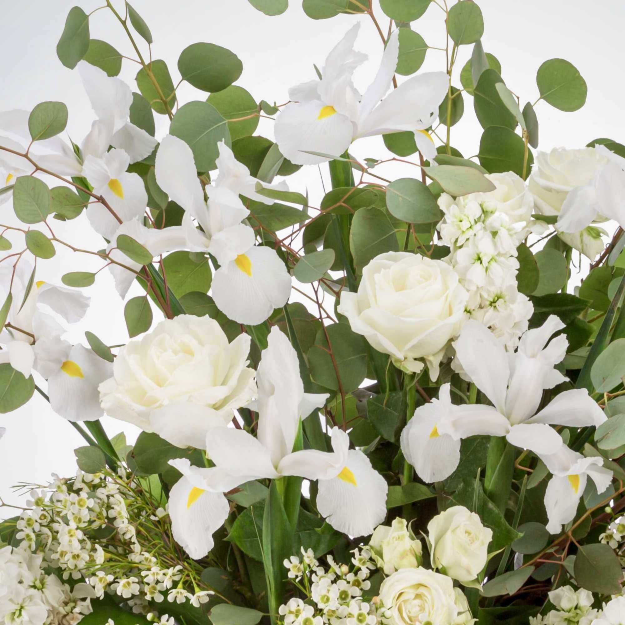 A wispy white and green basket featuring silver dollar eucalyptus and white, photo 2 of 2