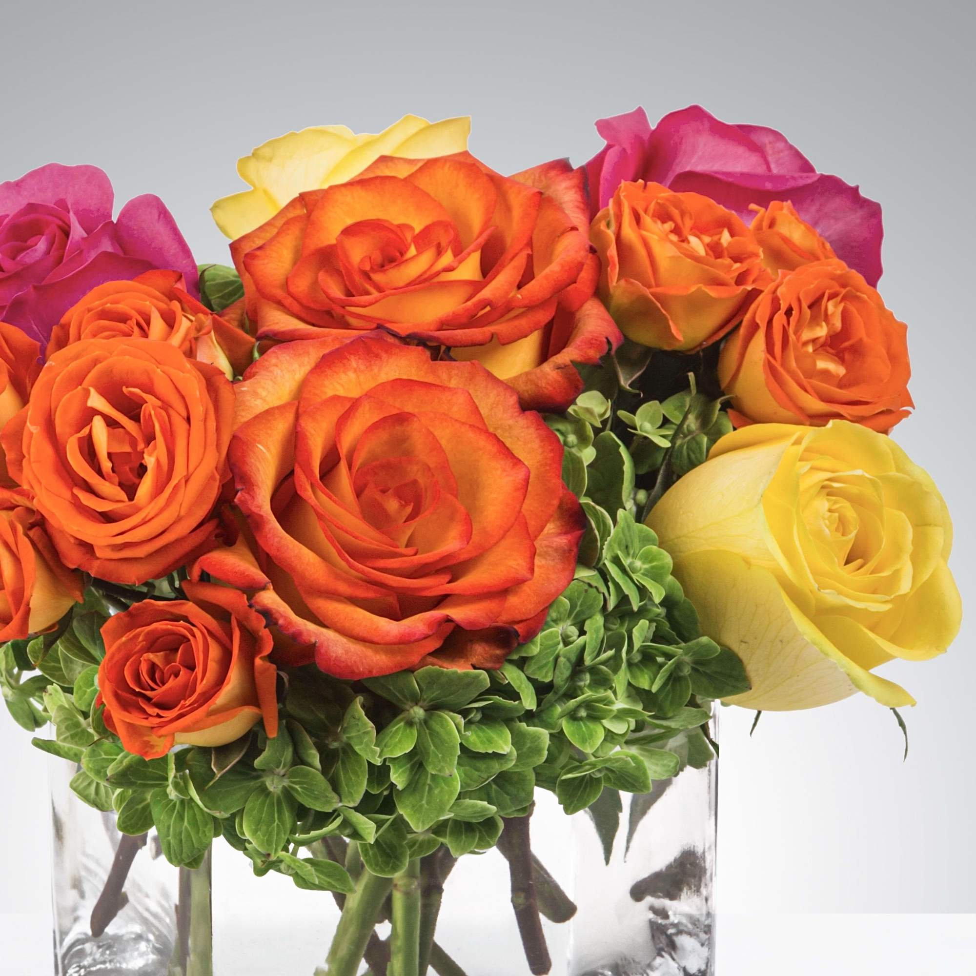 Pink, yellow and orange roses come together with green hydrangea for a, photo 2 of 2