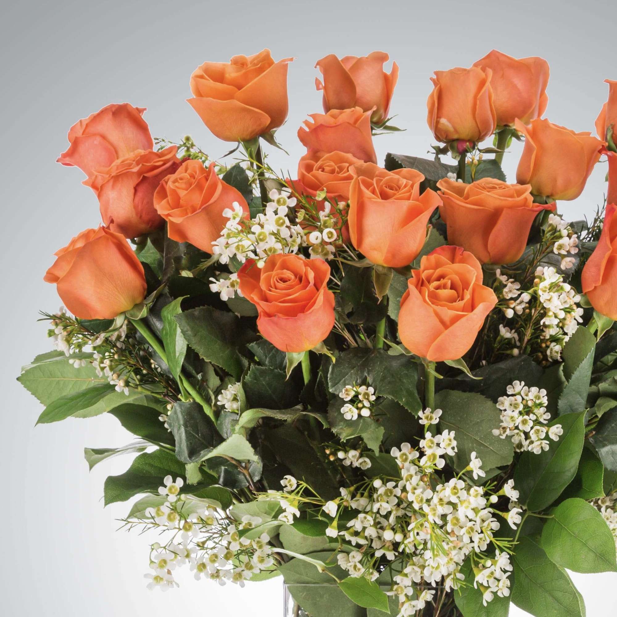18 beautiful long stem coral roses to represent your love and endless, photo 2 of 2