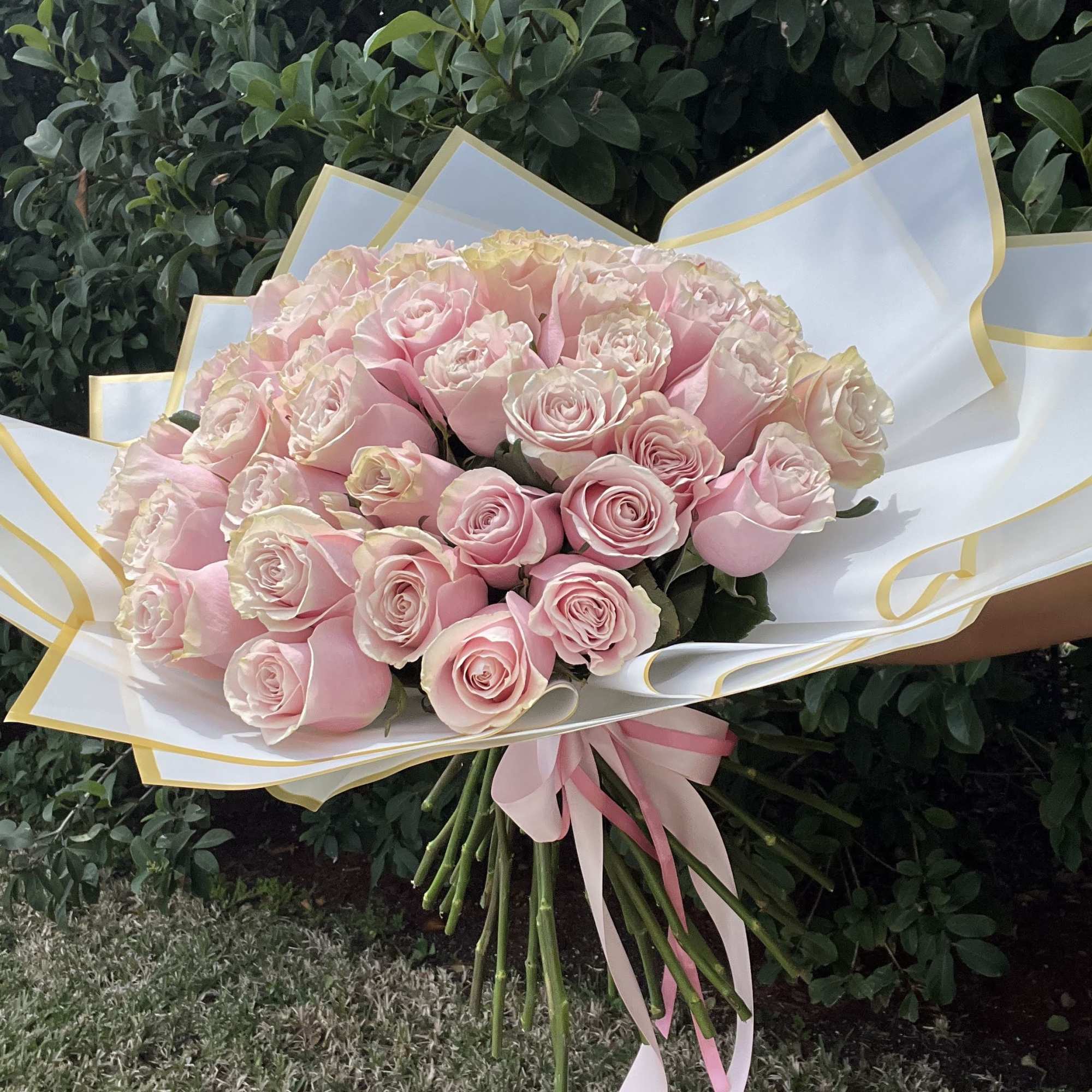 Large bouquet of pale pink roses wrapped in white paper with a pink ribbon