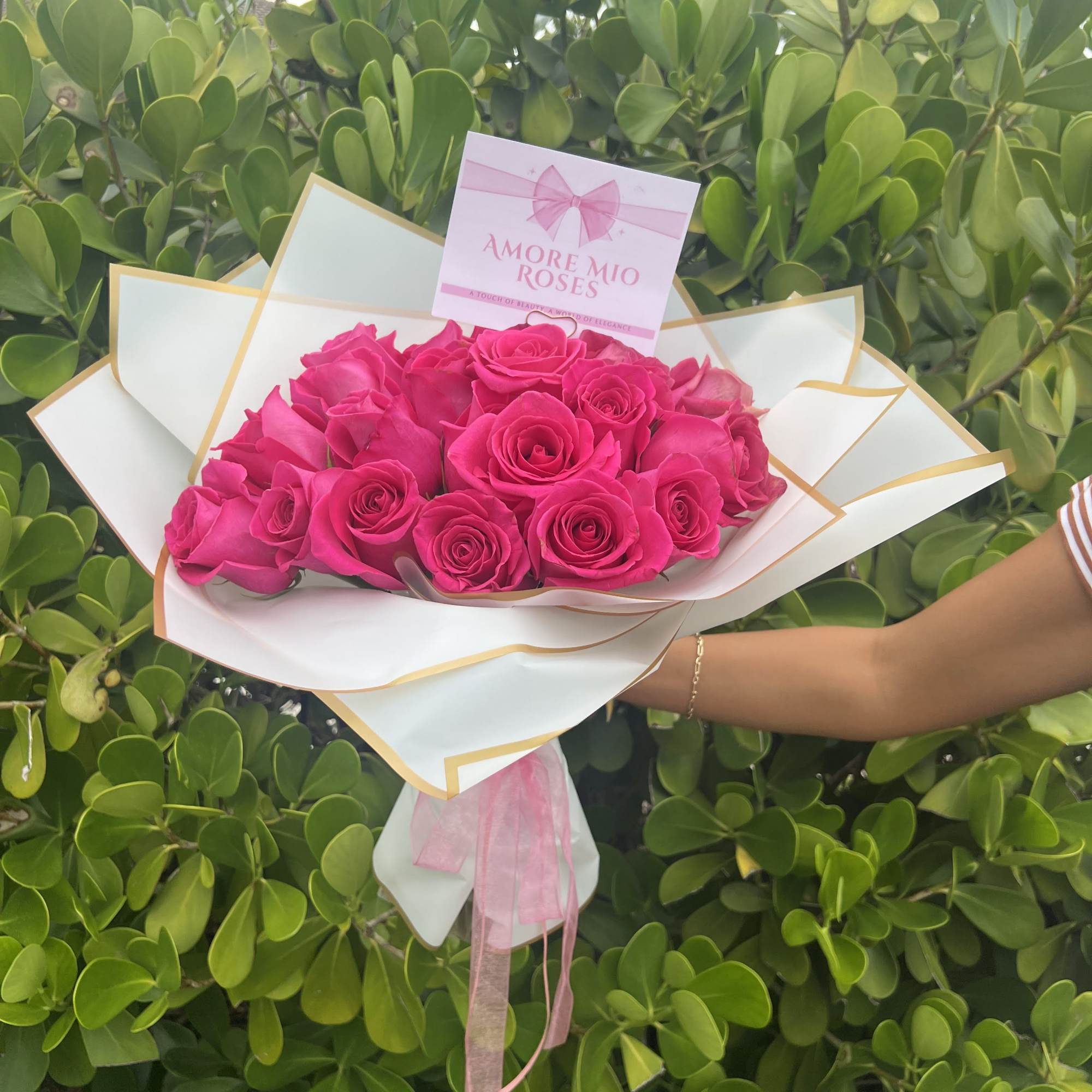 Bouquet of bright pink roses wrapped in white paper with a pink ribbon